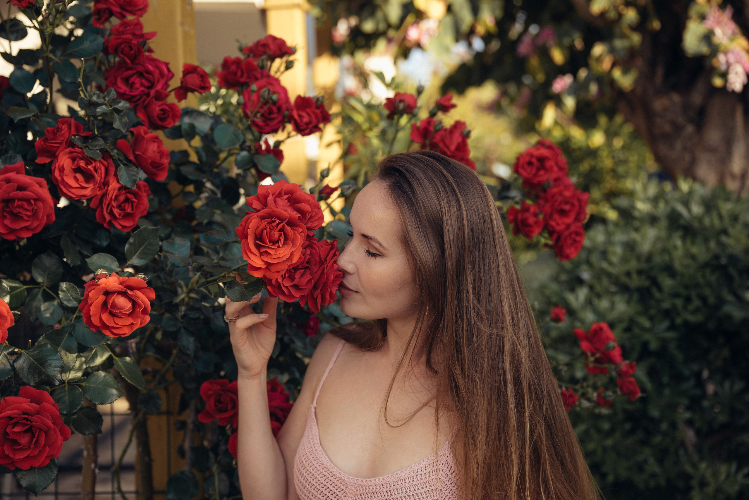 По пути к маковому полю. Анна Лобанова | фотограф