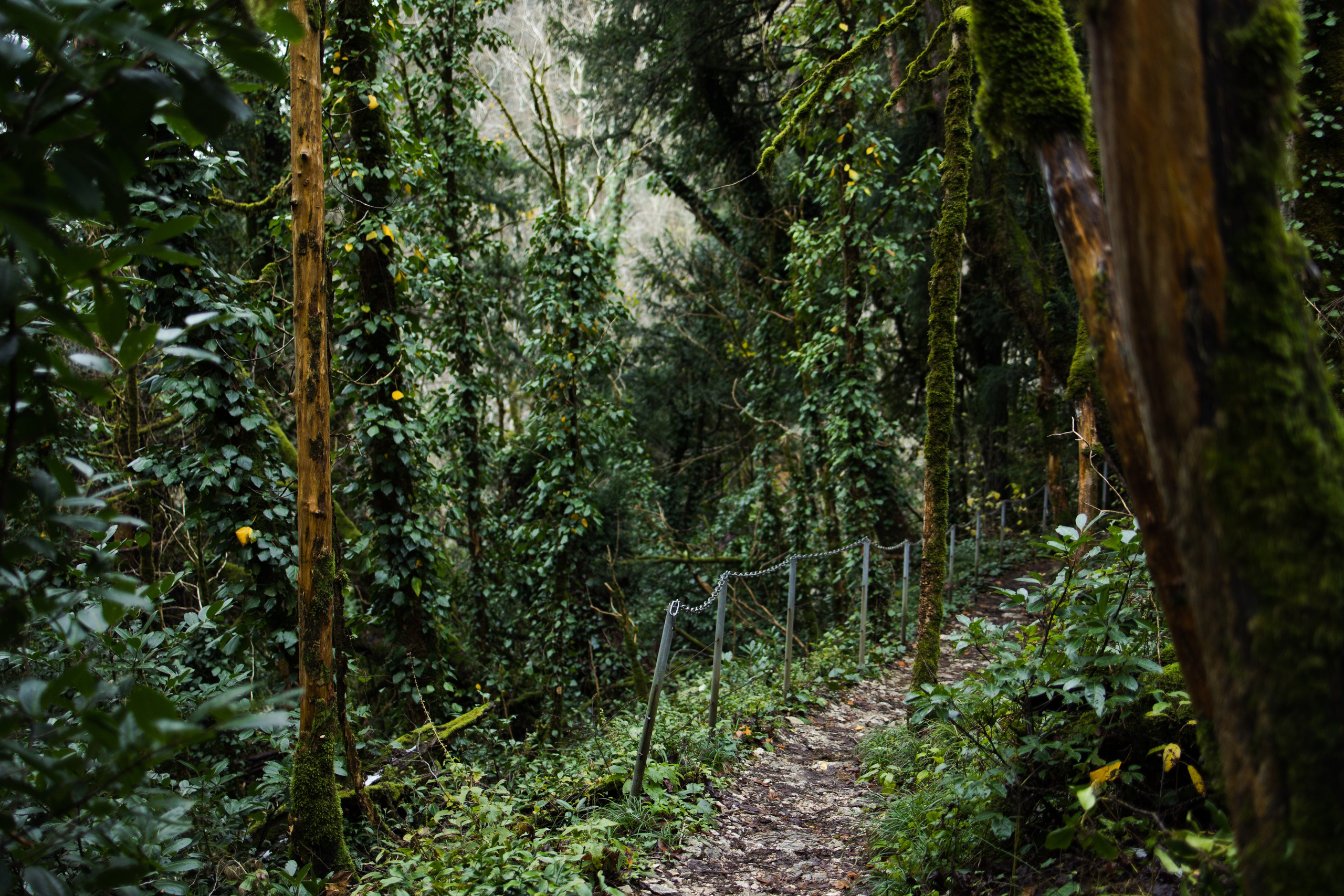 Сочи в декабре. Портретный фотограф в Санкт-Петербурге