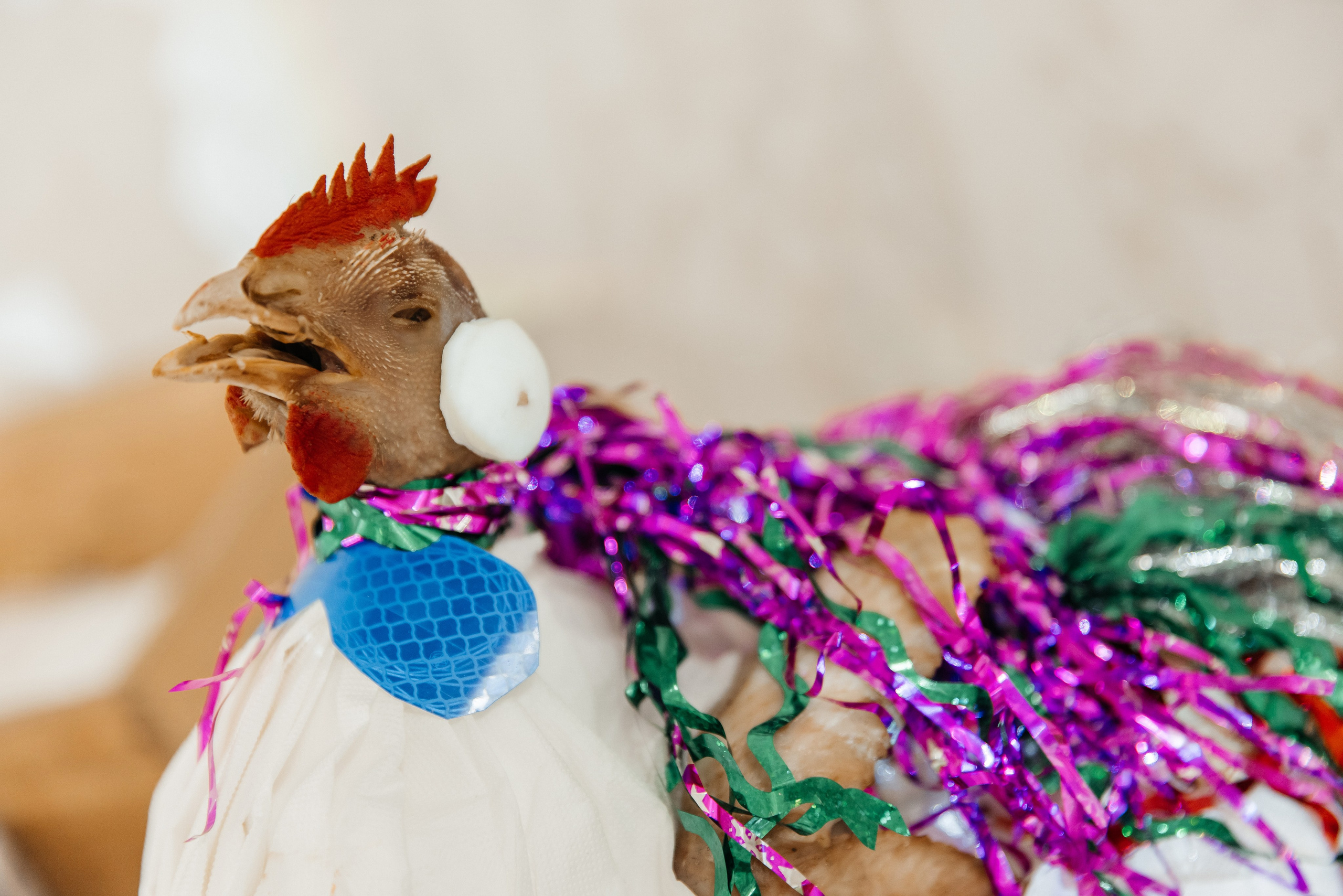 Александра и Ринат. Фотограф Москва Шептаев Артём