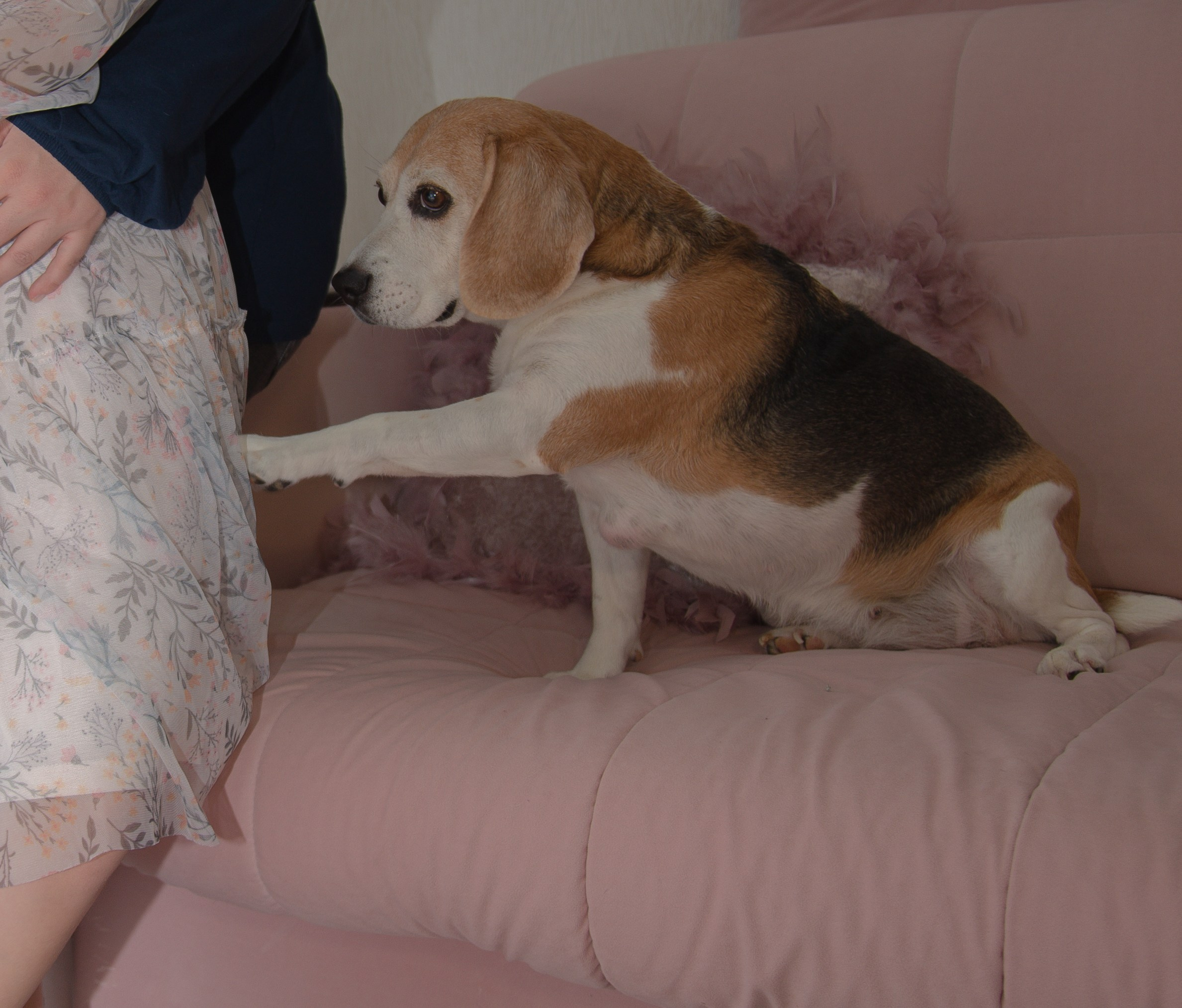 Дома. Фотограф в Москве