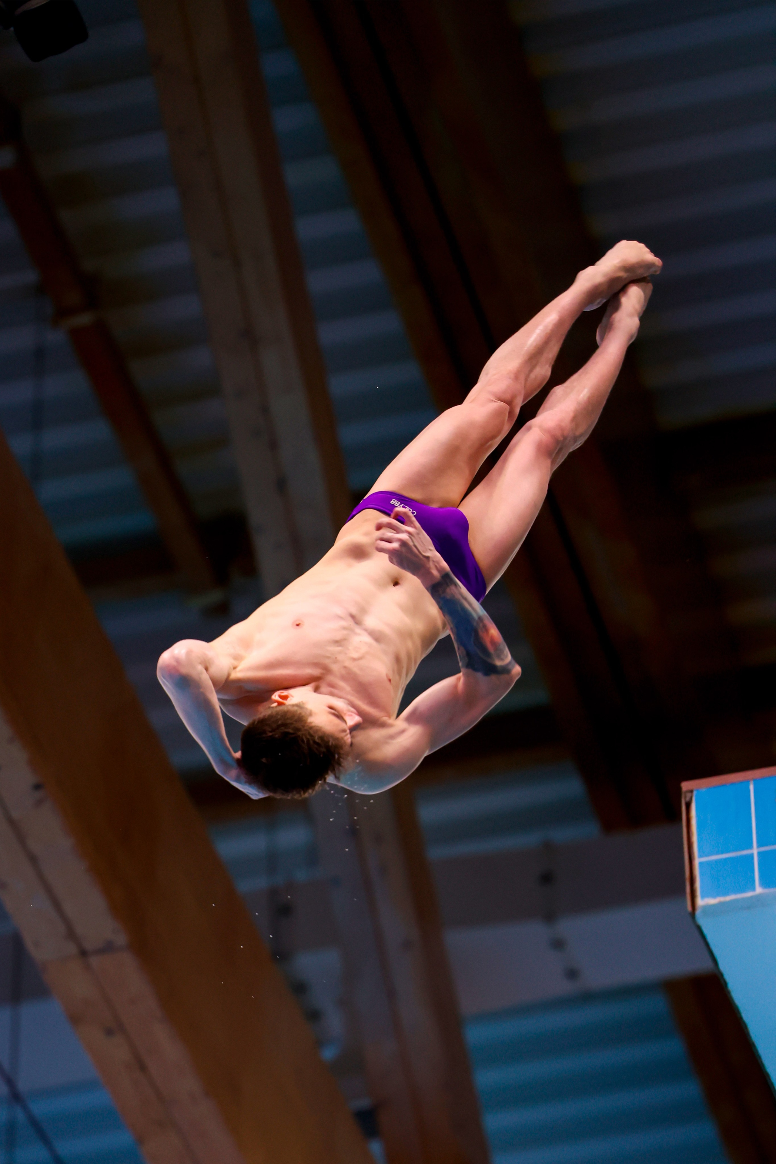 Кубок России по прыжкам в воду 04-08.02.2025. Спортивный и репортажный фотограф Антон Тереханов