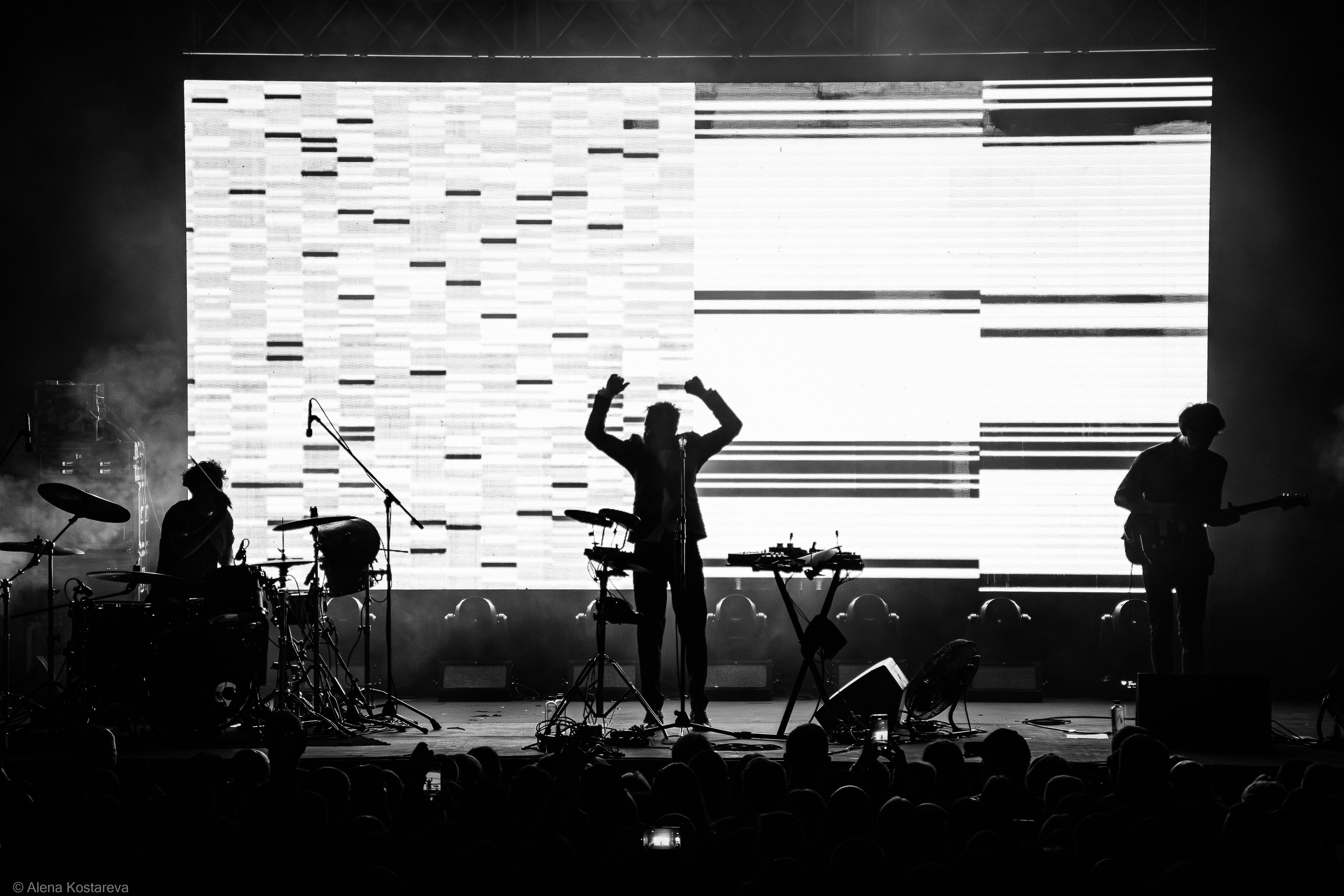 Dolphin. Алена Костарева. Фотограф в Ростове-на-Дону