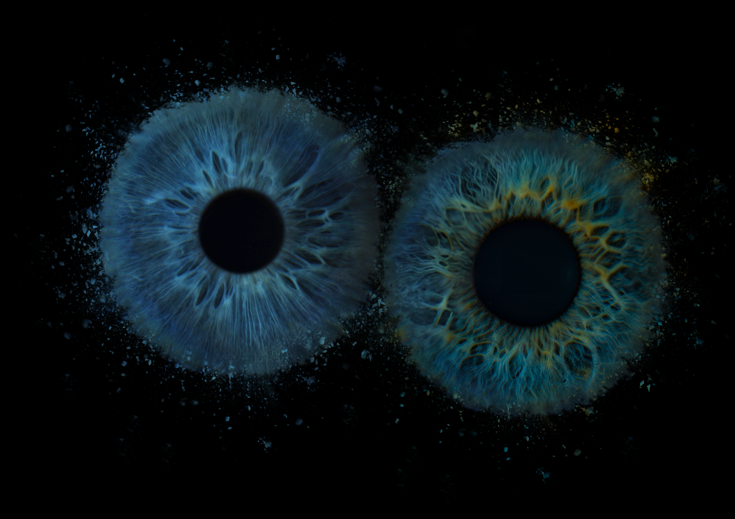 Виолетта 11021600. ShowLab