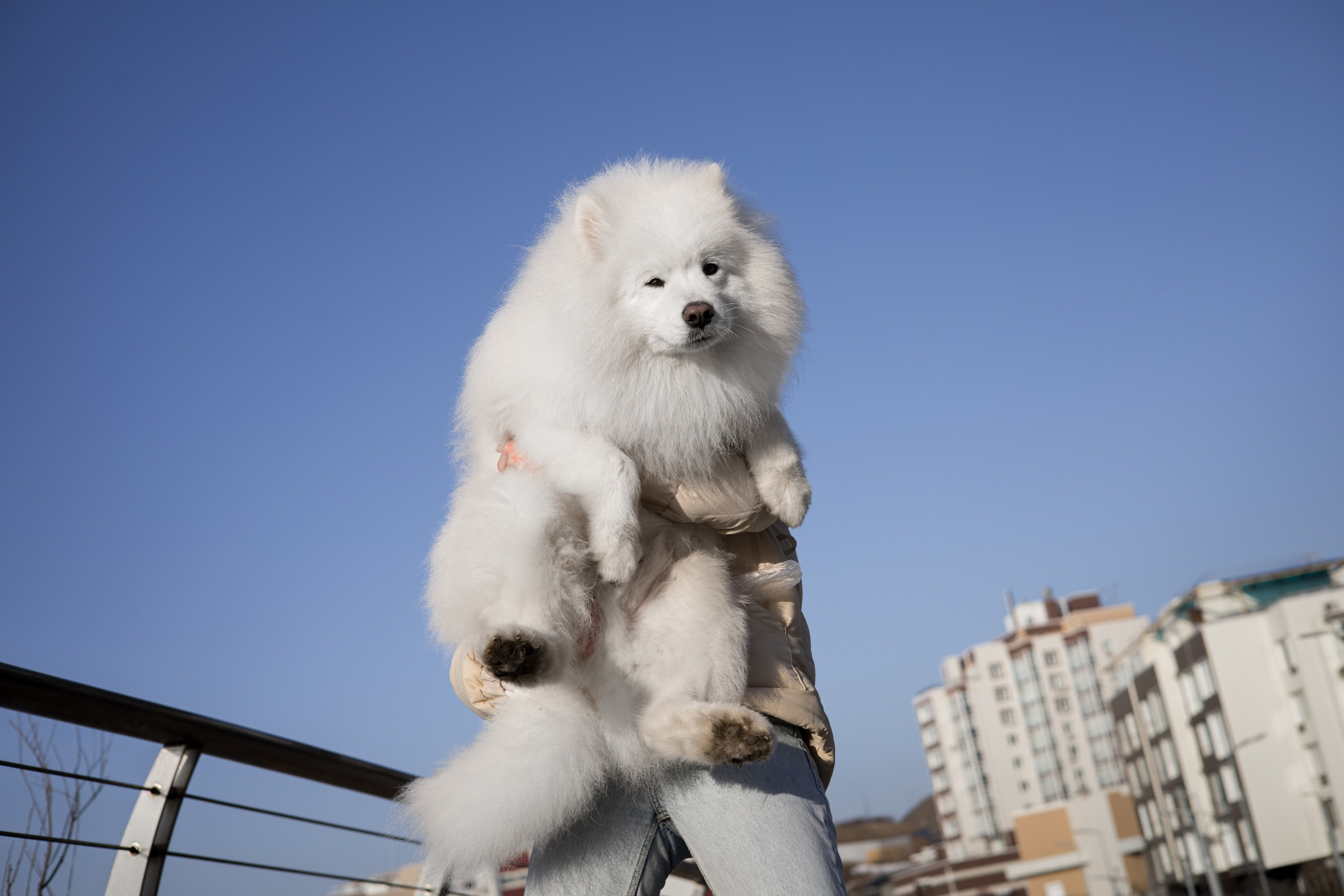 Полина и Вирчик. Фотограф — анималист Владивосток, Алина