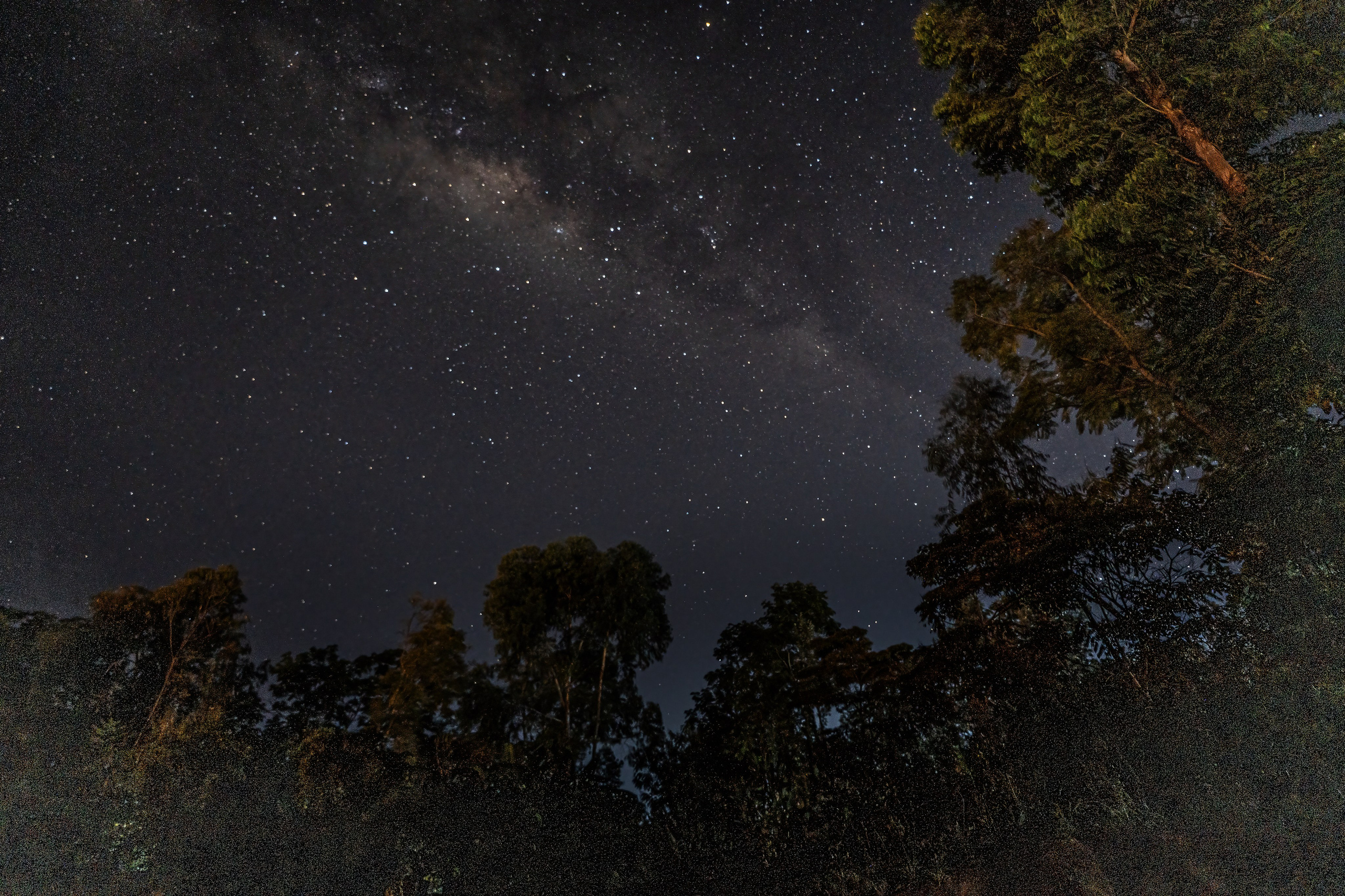 Танзания, сафари, 2025. Творческие сьемки