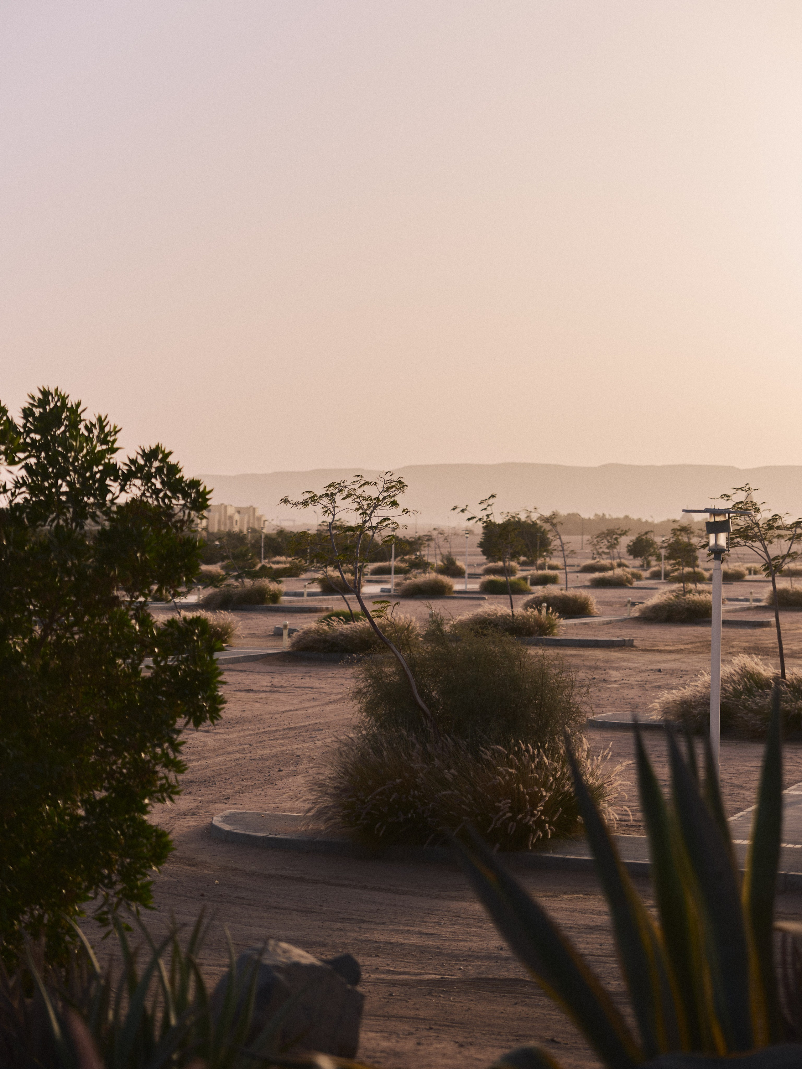 Улицы. Jorgis Talè — photographer, kind person, teacher of arts and other mag