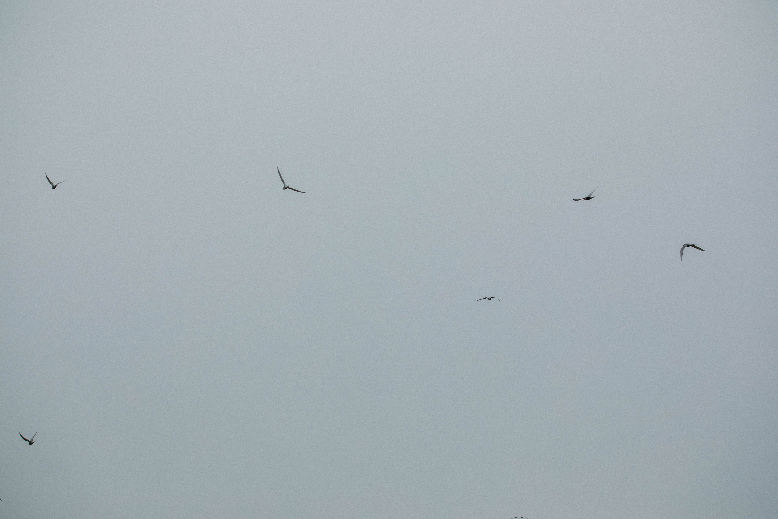 Кольский полуостров. Фотографирую для себя, своей семьи и друзей!