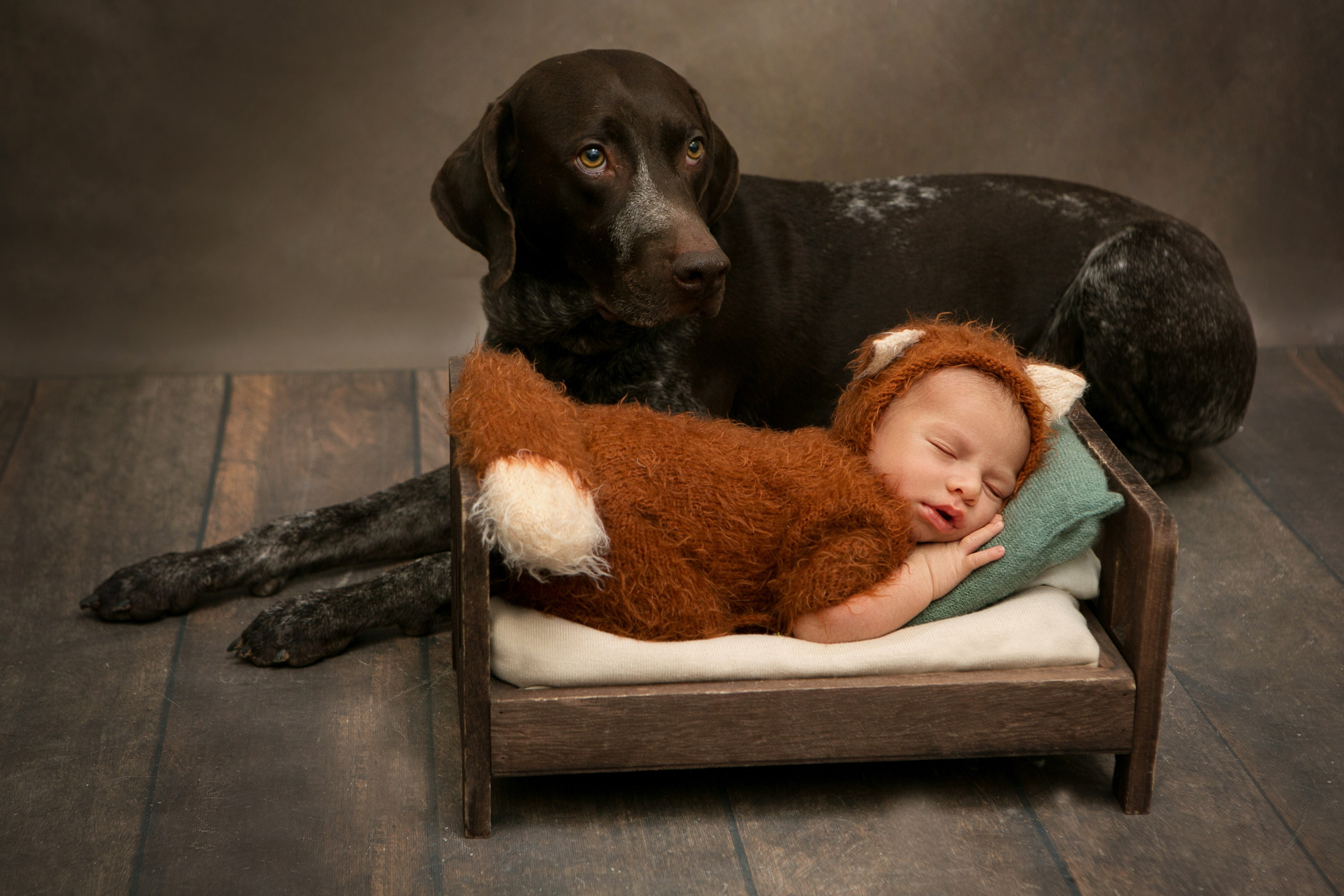 Фотосессия Newborn. Семейный, детский, newborn фотограф Москва,Московская обл Алла Риэр