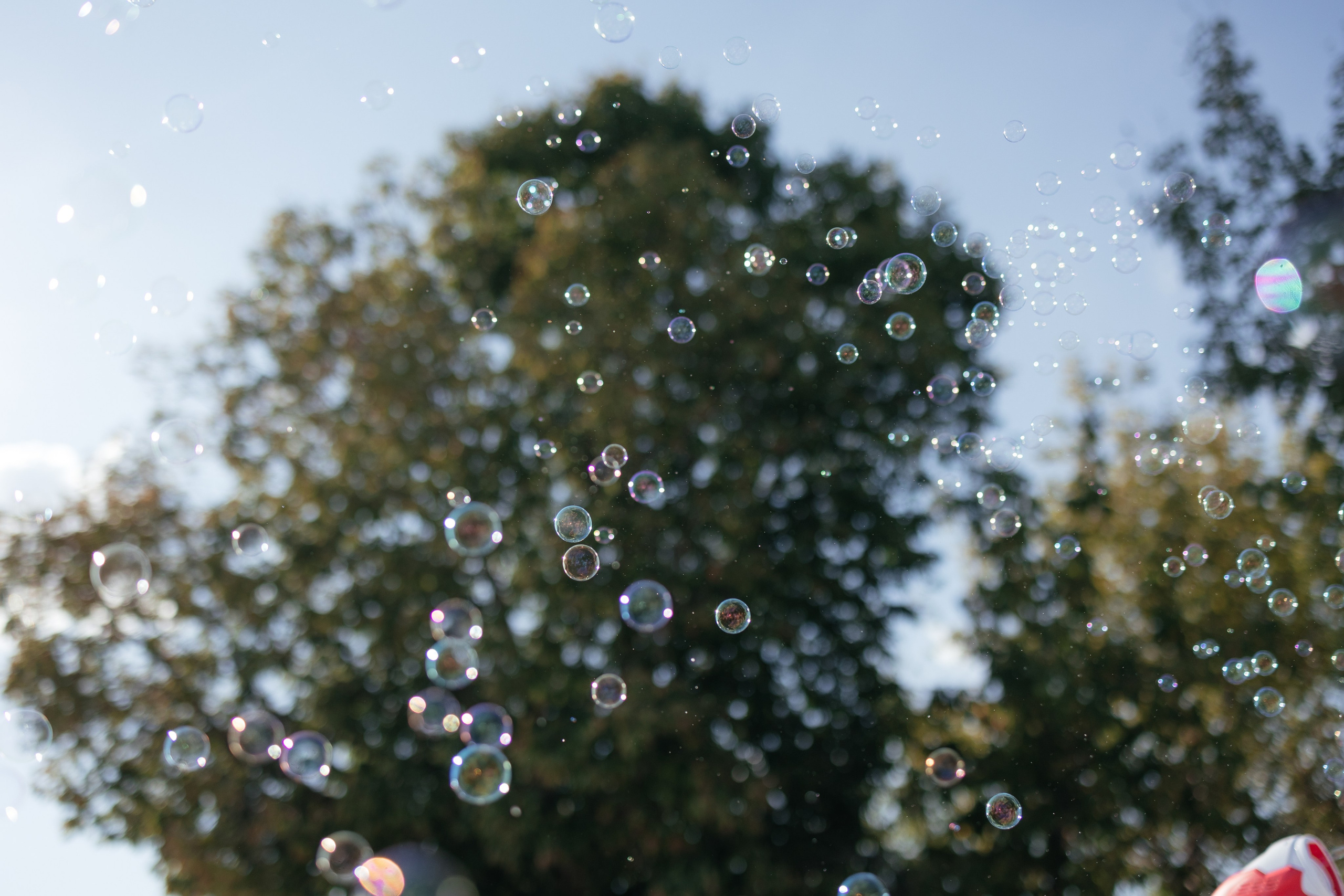 Вова и Лера. Фотограф Крохин Олег