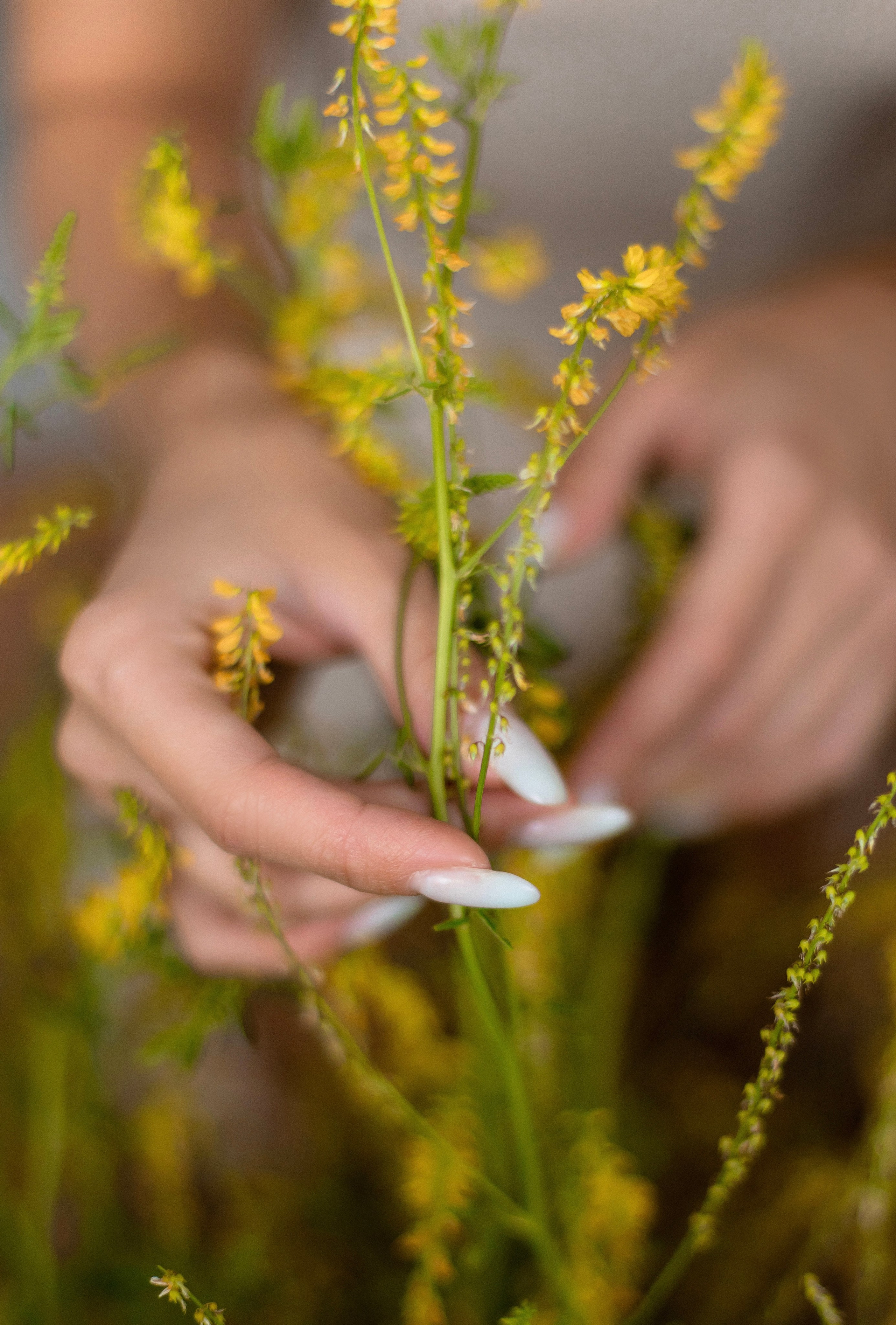 Анастасия, съёмка в полевых цветах. Свадебный и портретный фотограф в Миассе Филиппенко Дарья