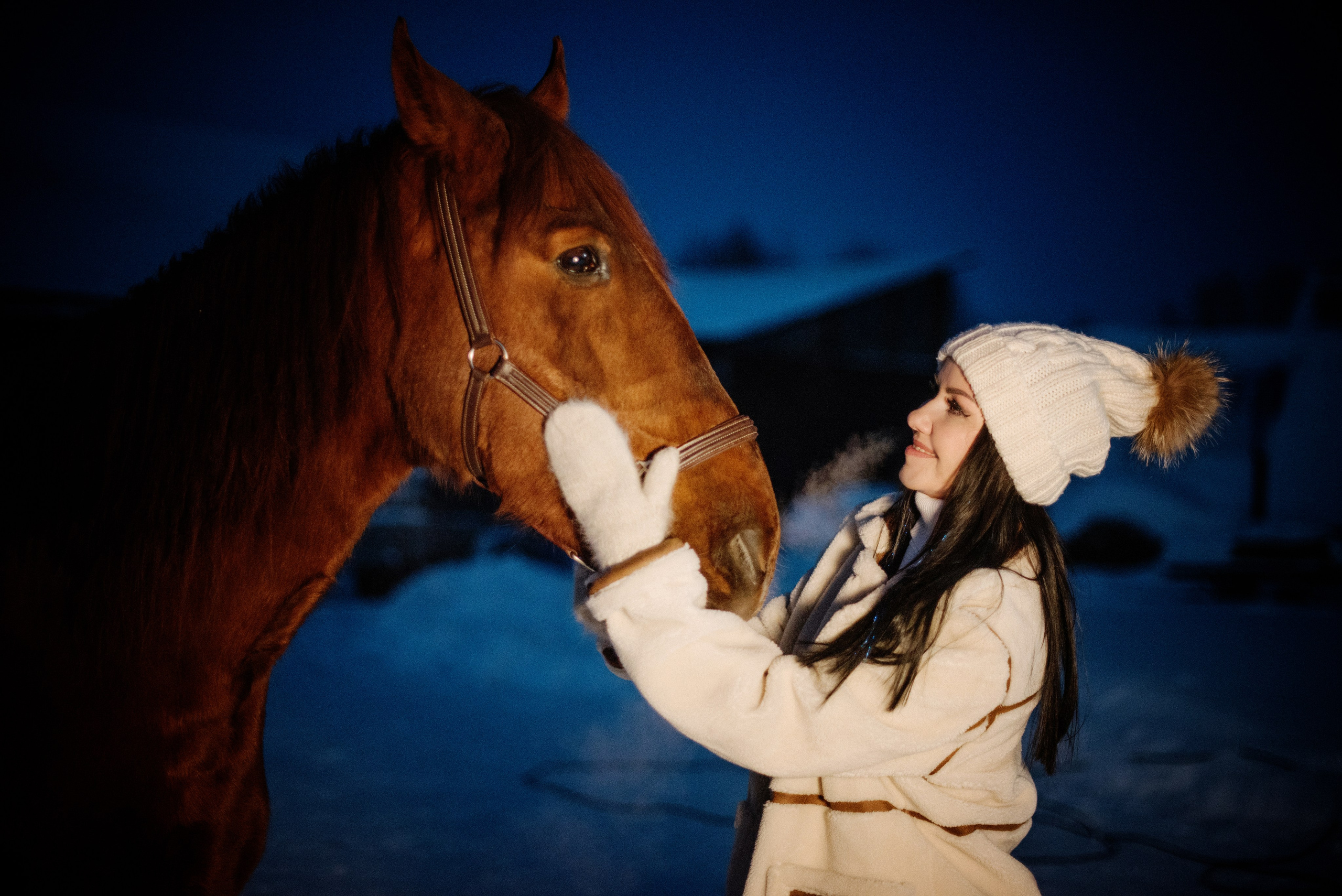 Фото СИМВОЛ ГОДА 2026 от Натальи. ФОТОПРОЕКТЫ
