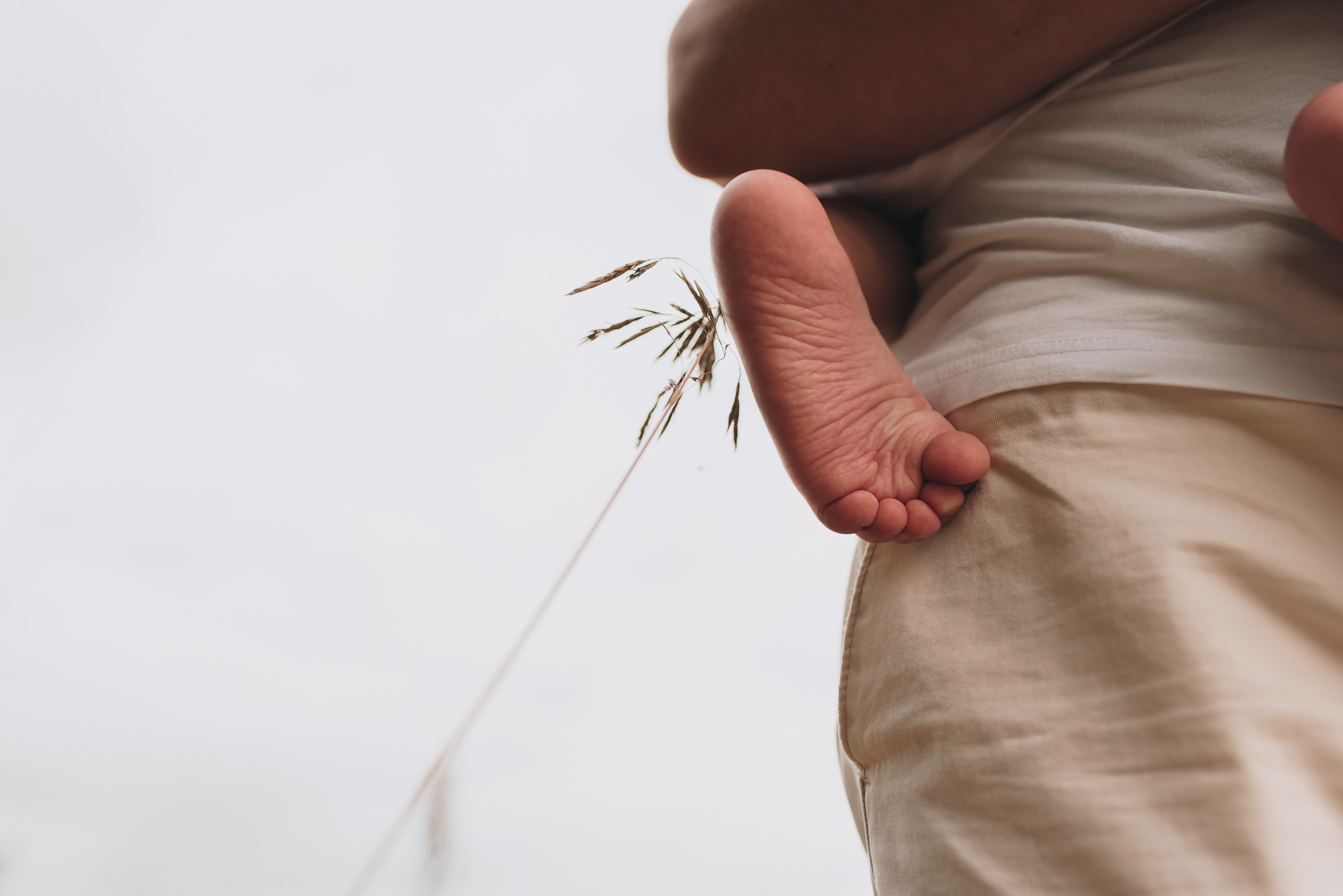 Natalia Finch Photography — Family, Kids & Pet Photographer in Chicago, IL