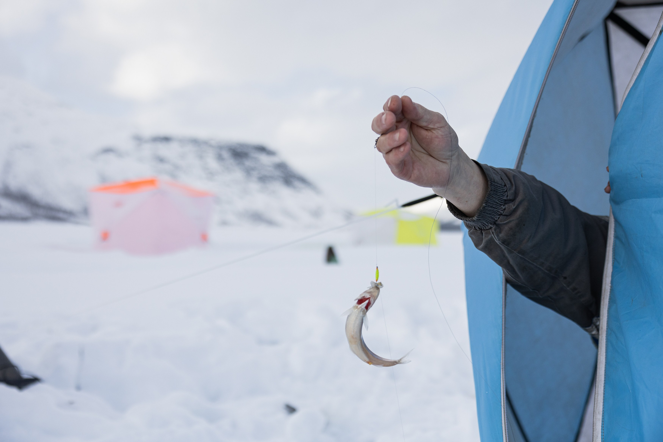 Кировск. Рыбаки. Алиса Северная. Визуальные исследования. Пейзажная и документальная фотография