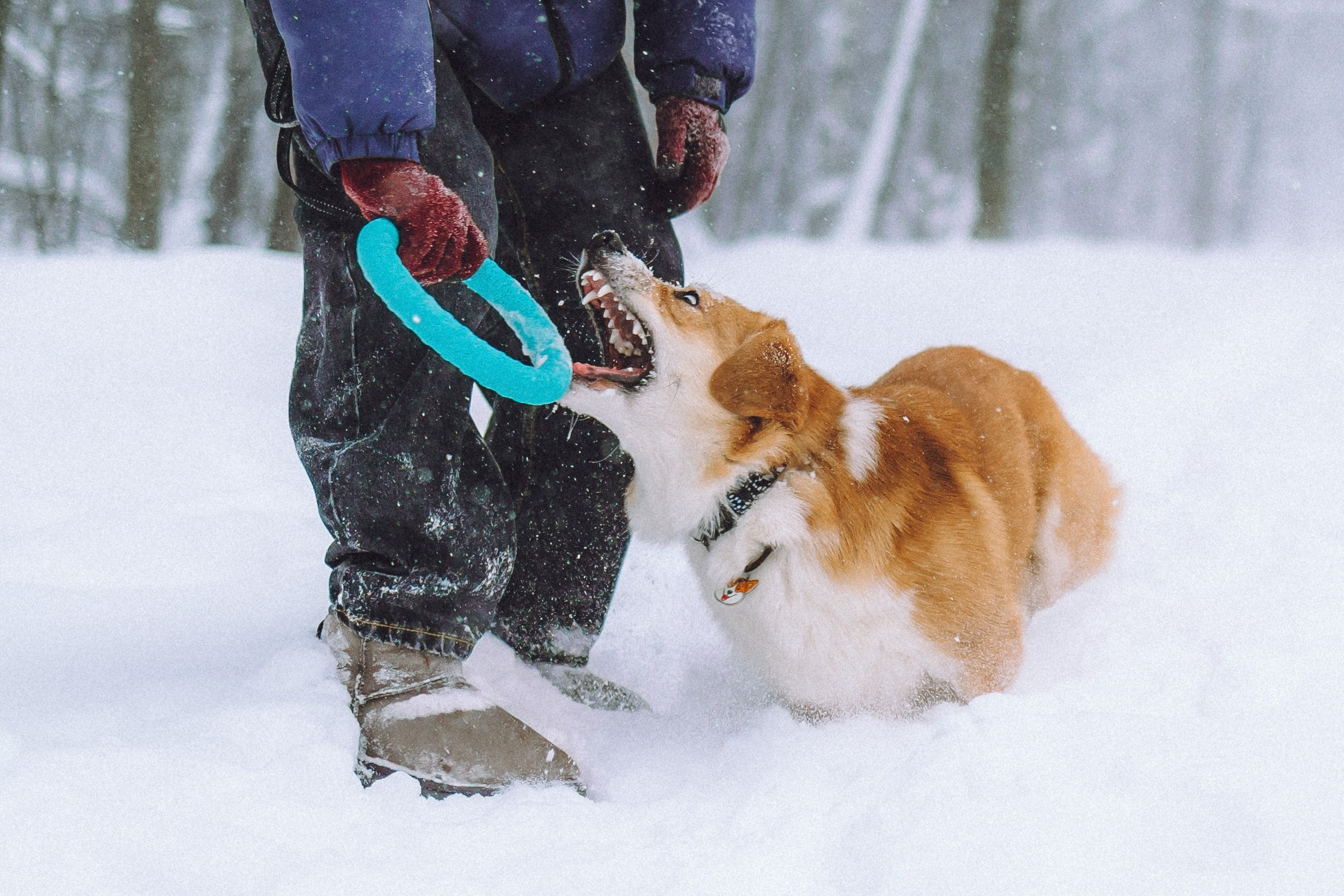 Юля и Юпитер