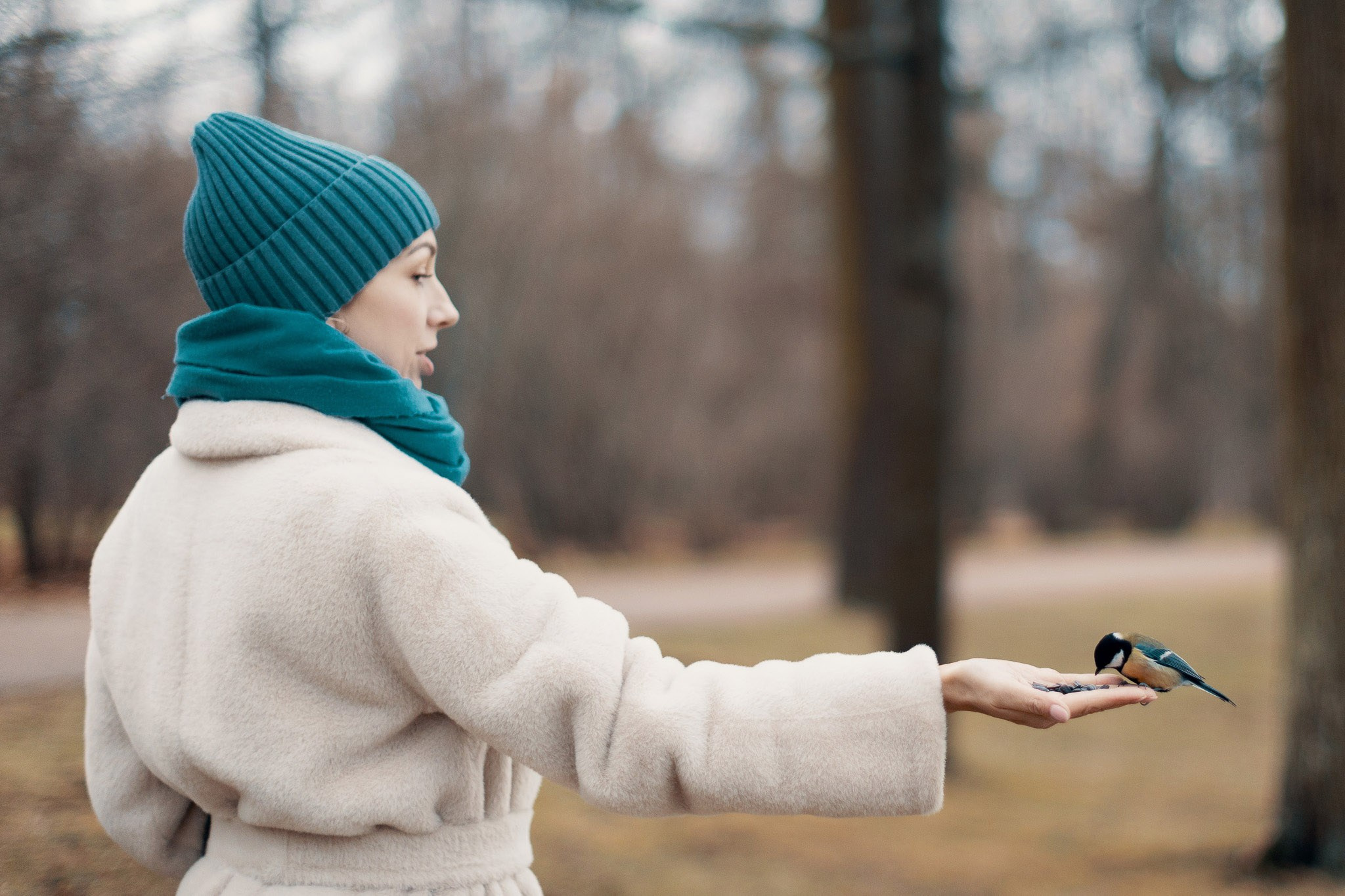 Екатерининский Парк (Царское Село). Фотограф Валерий Сабрам