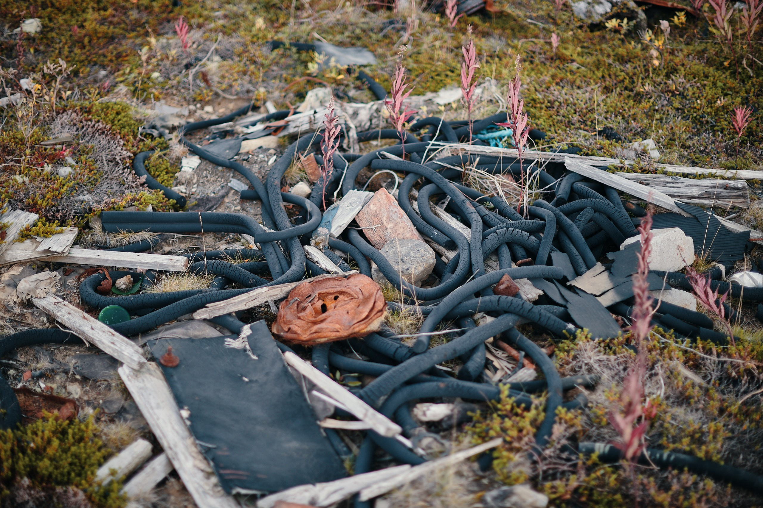 Рыбачий 2023. Место силы. Фотограф Валерий Сабрам
