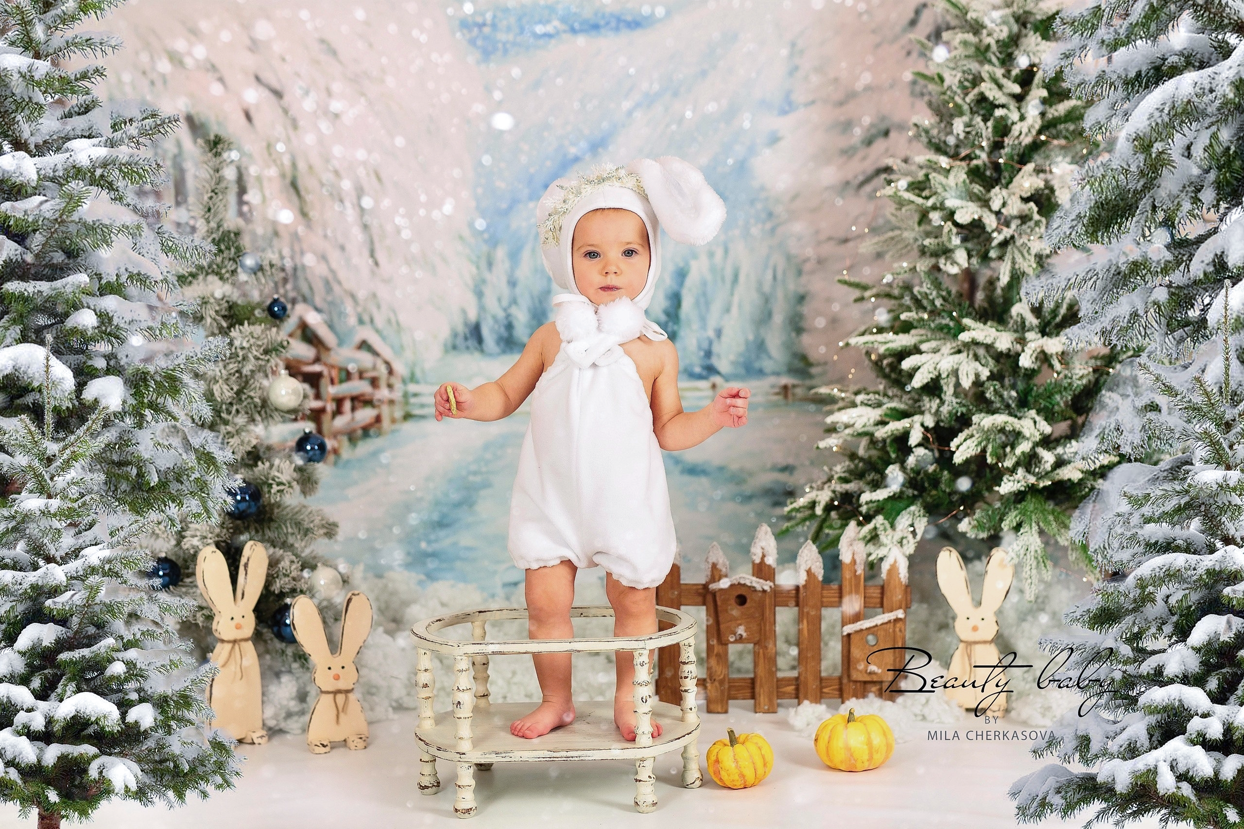 Зимняя Открытка. Семейный и детский фотограф в Красноярске Мила Черкасова