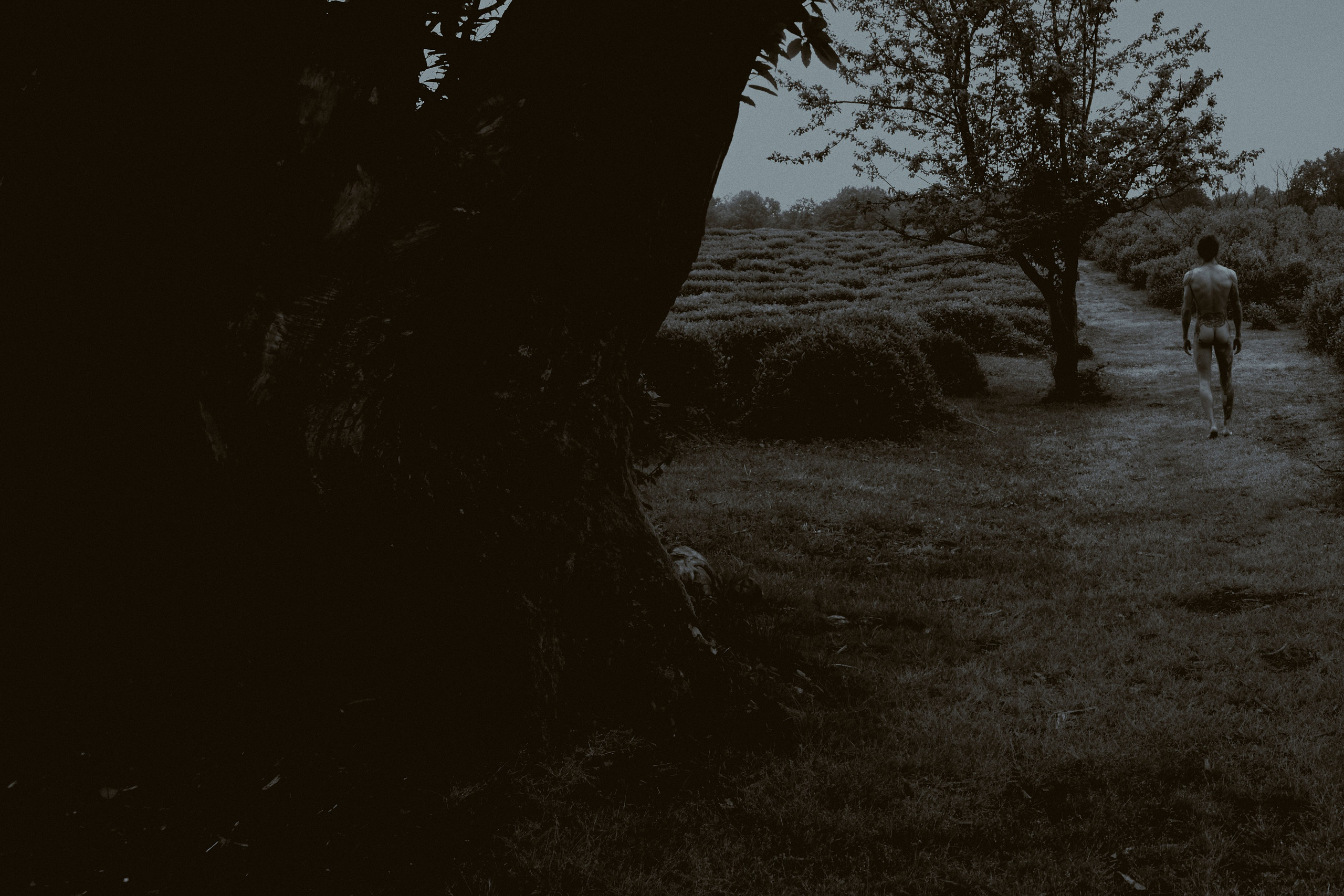 Khosta. Фотограф Настя Лев