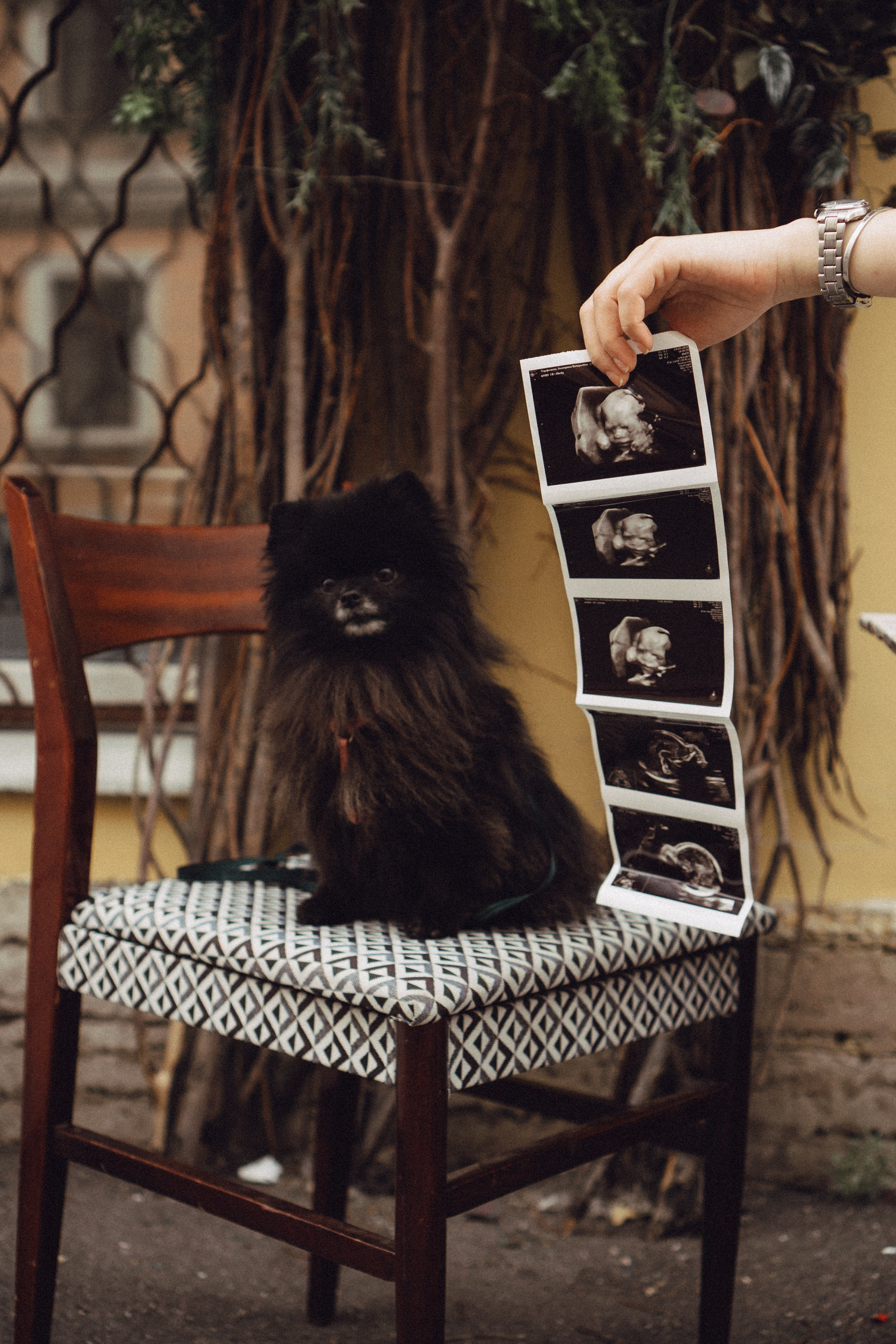 Беременность (только часть фото по желанию клиентов могу показать)). Профессиональный фотограф, Санкт-Петербург — Виктория Богомолова