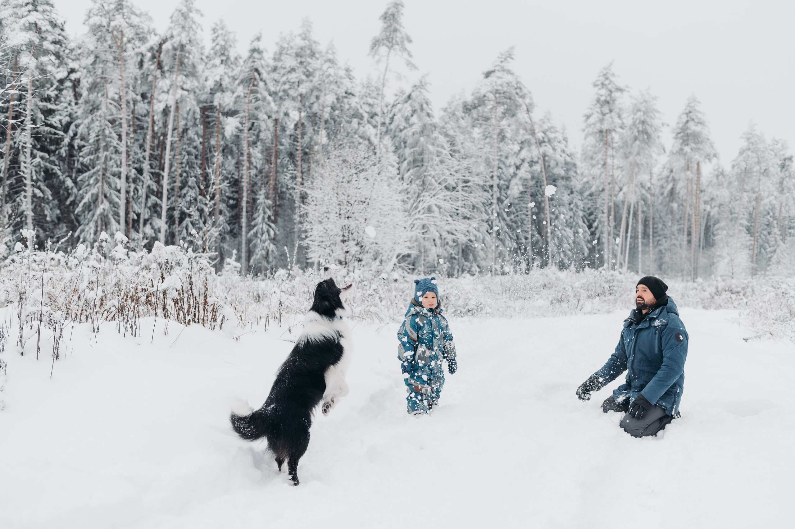 Снежная прогулка. Главная