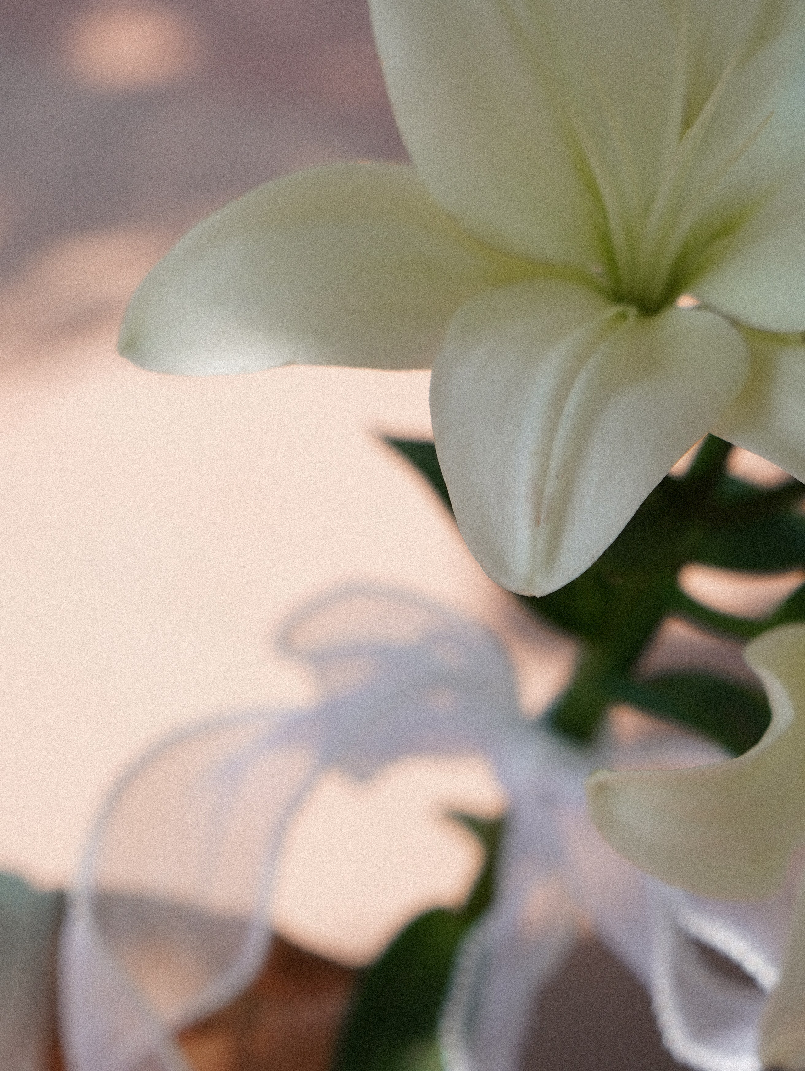 Савдебный прайс. Фотограф и видеограф Зеленская Дарья