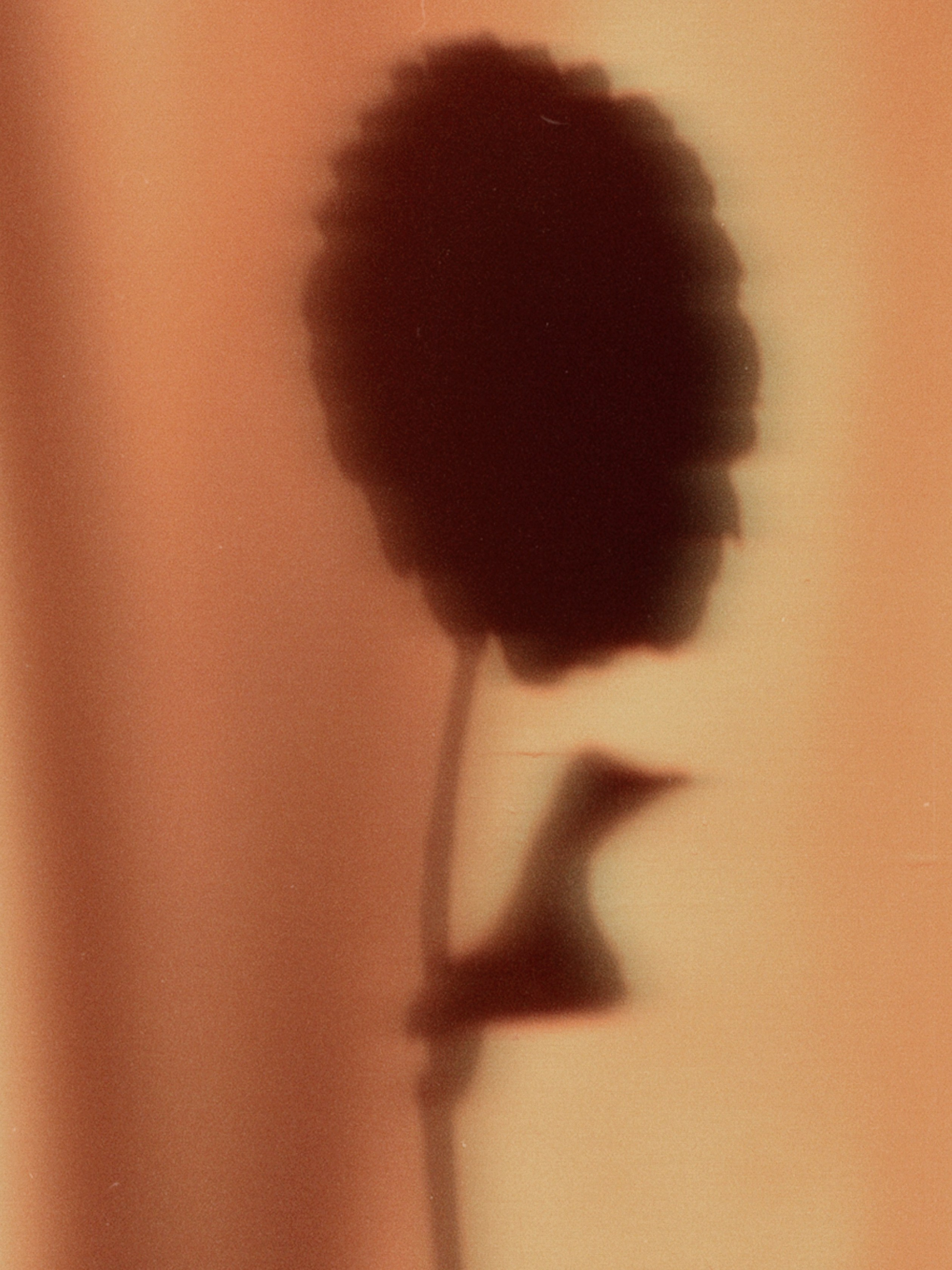 Предметная съёмка. Чувственный мобильный фотограф в Казани и Сочи Дьяченко Дарья