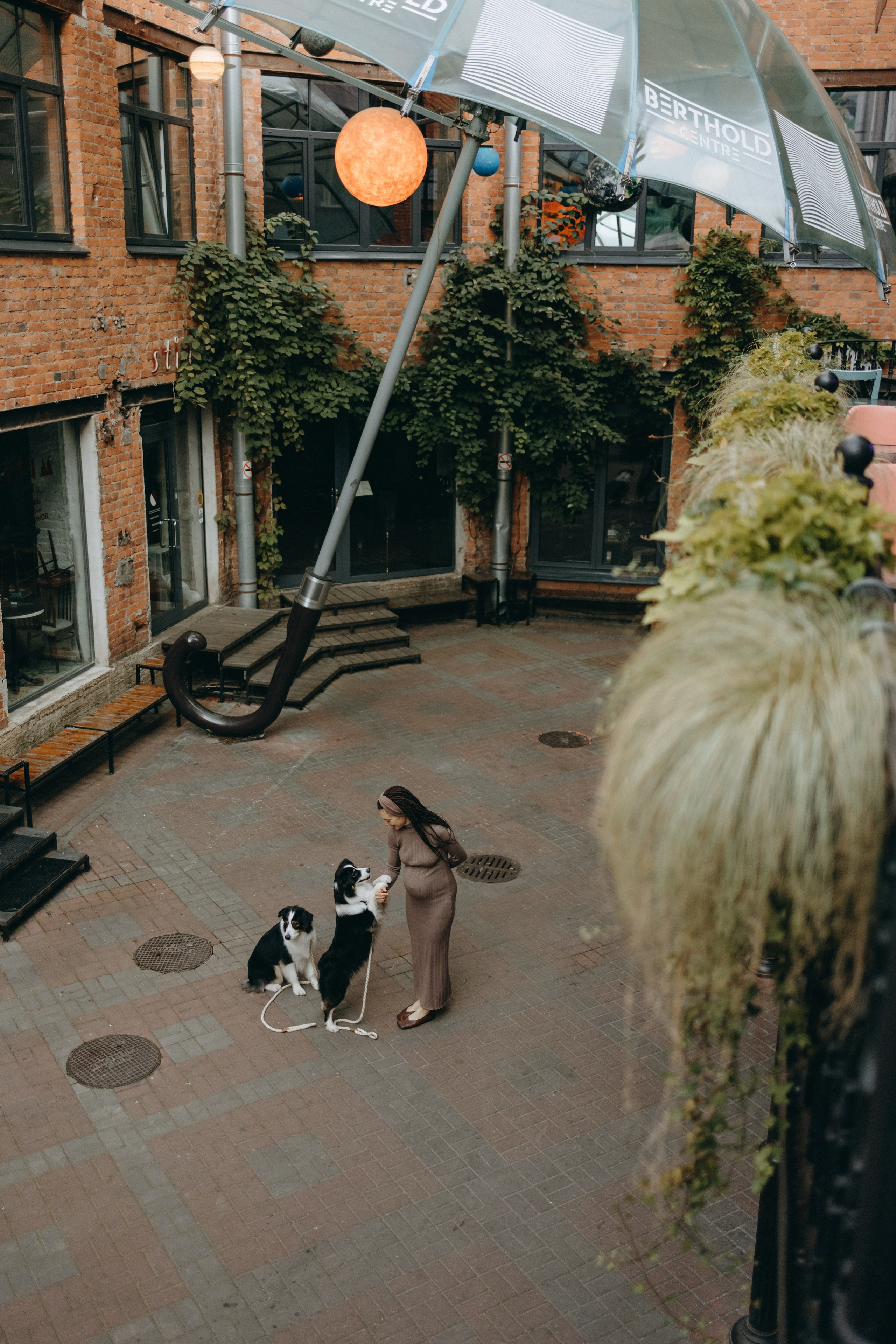 Катя и ее девочки. Фотограф — Анималист | Санкт-Петербург