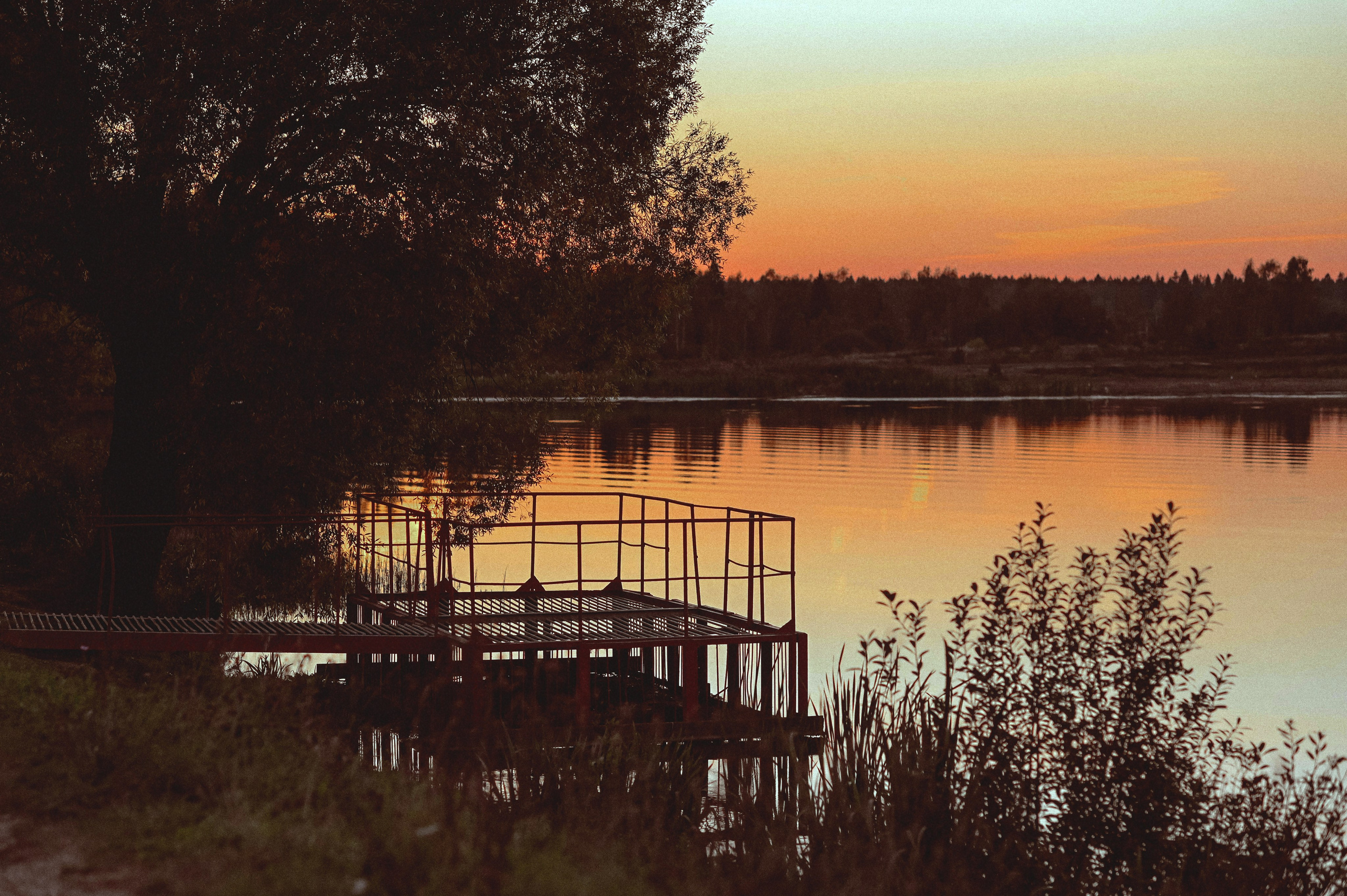 Лето. Воздух. Счастье. Фотограф Альбина Вакунова