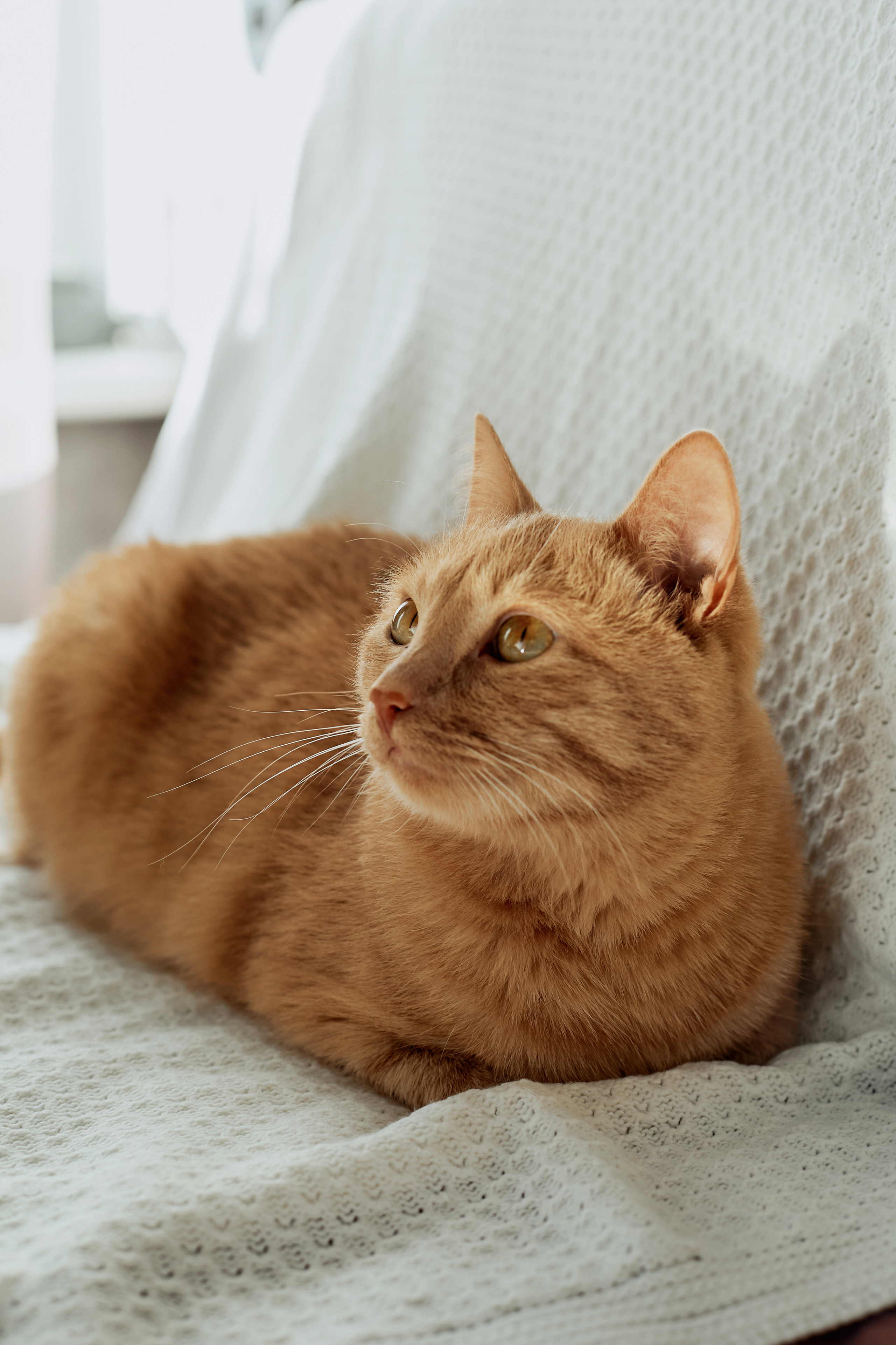 Малышка Василина. Семейный фотограф в Москве Вера Гук