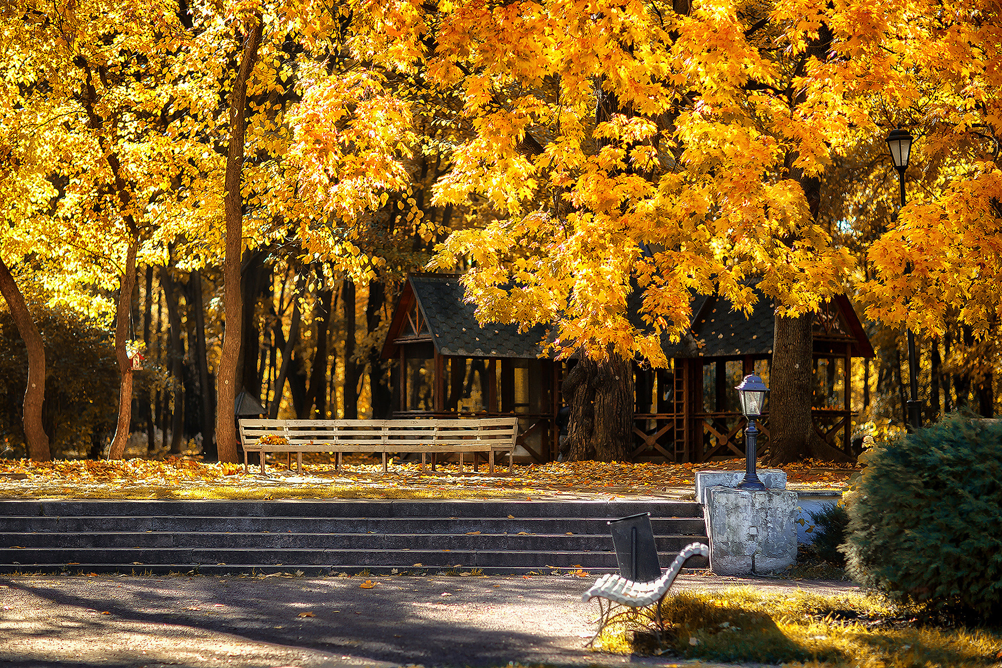 Осенняя прогулка по Нескучному саду. Семейный фотограф в Москве Вера Гук