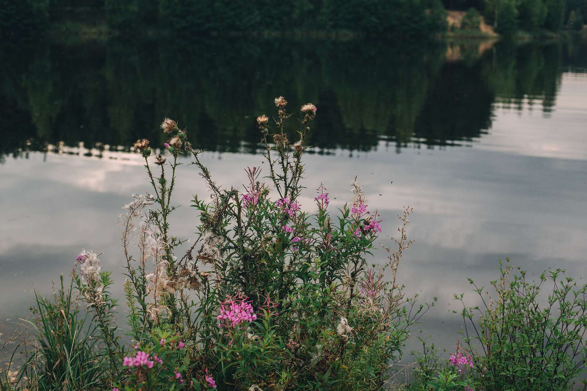 Юля и Леша. Семейный фотограф в Москве Вера Гук