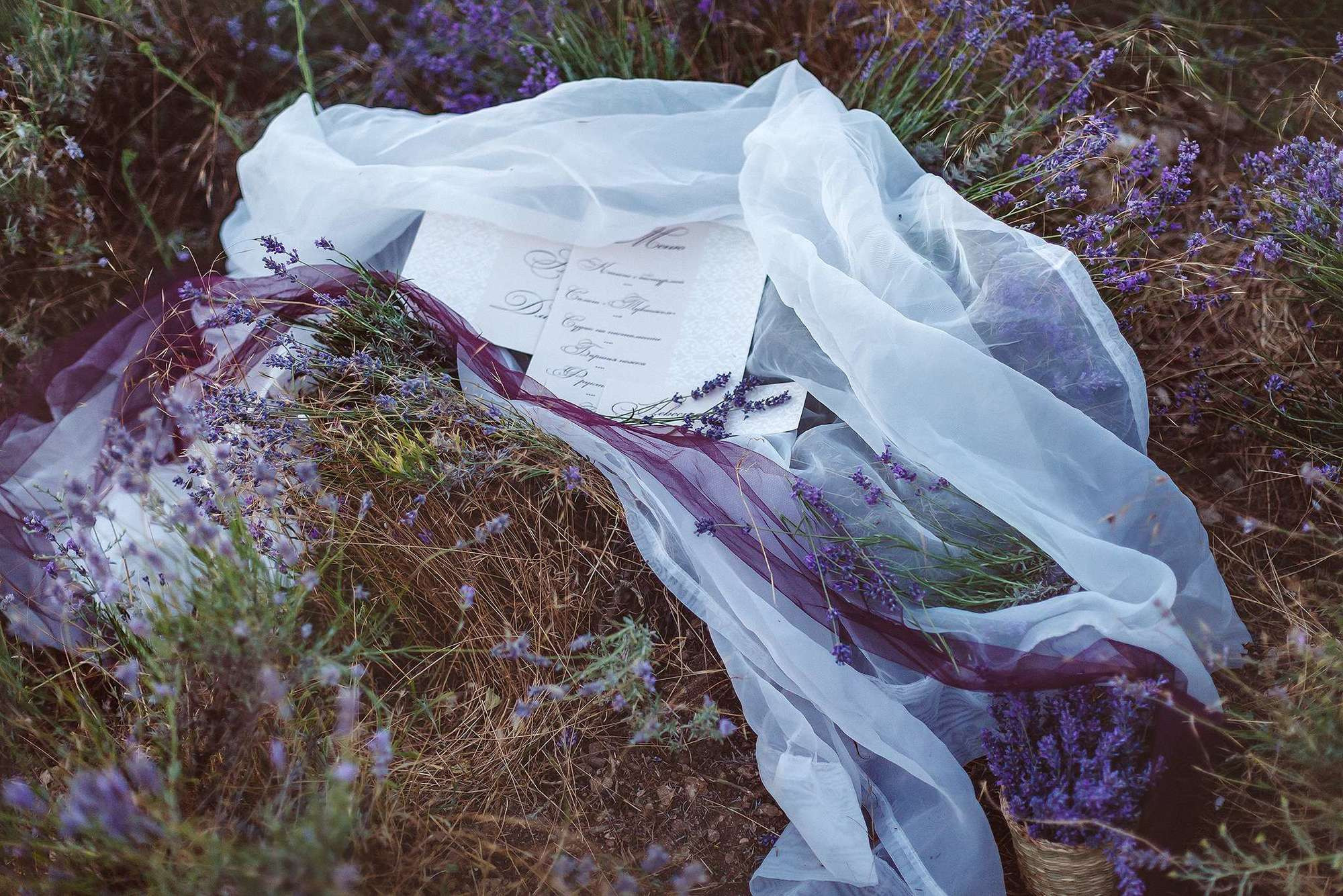 Лавандовый закат. Семейный фотограф в Москве Вера Гук