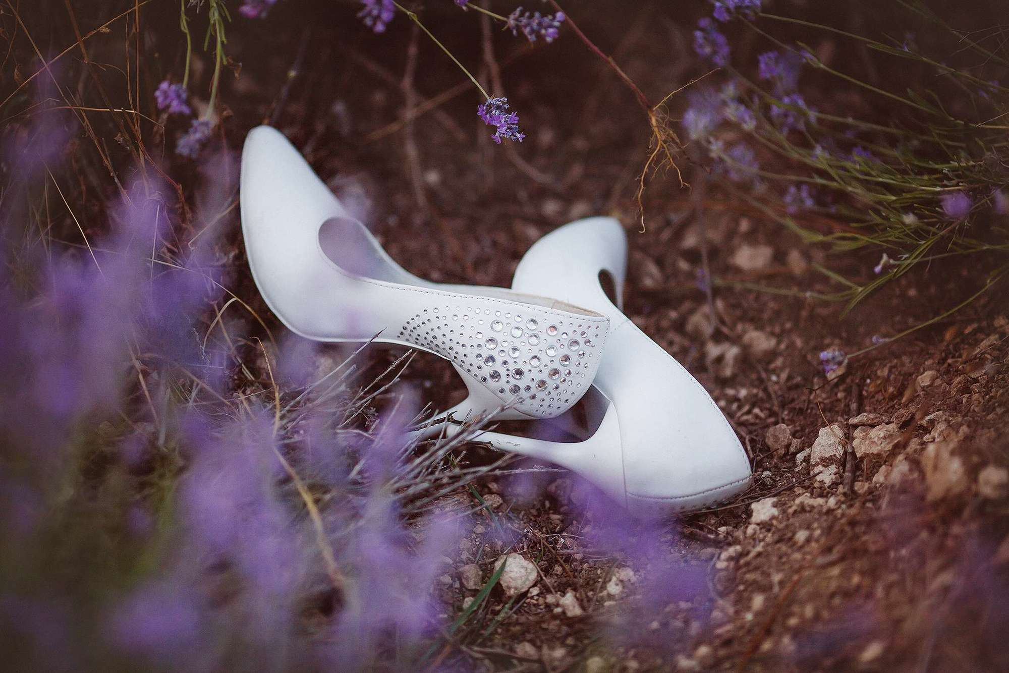 Лавандовый закат. Семейный фотограф в Москве Вера Гук