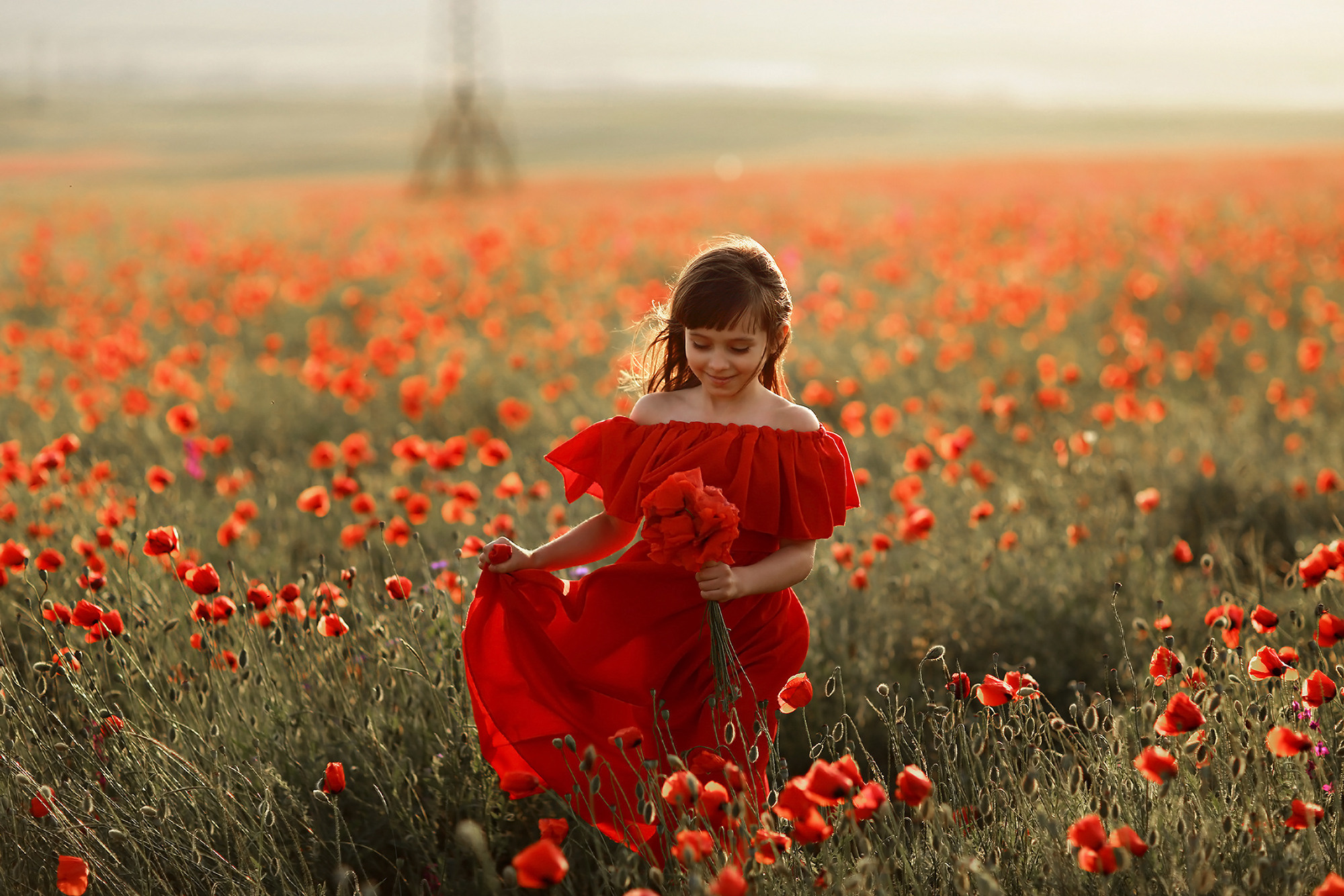 Маковое поле. Крым. Семейный фотограф в Москве Вера Гук