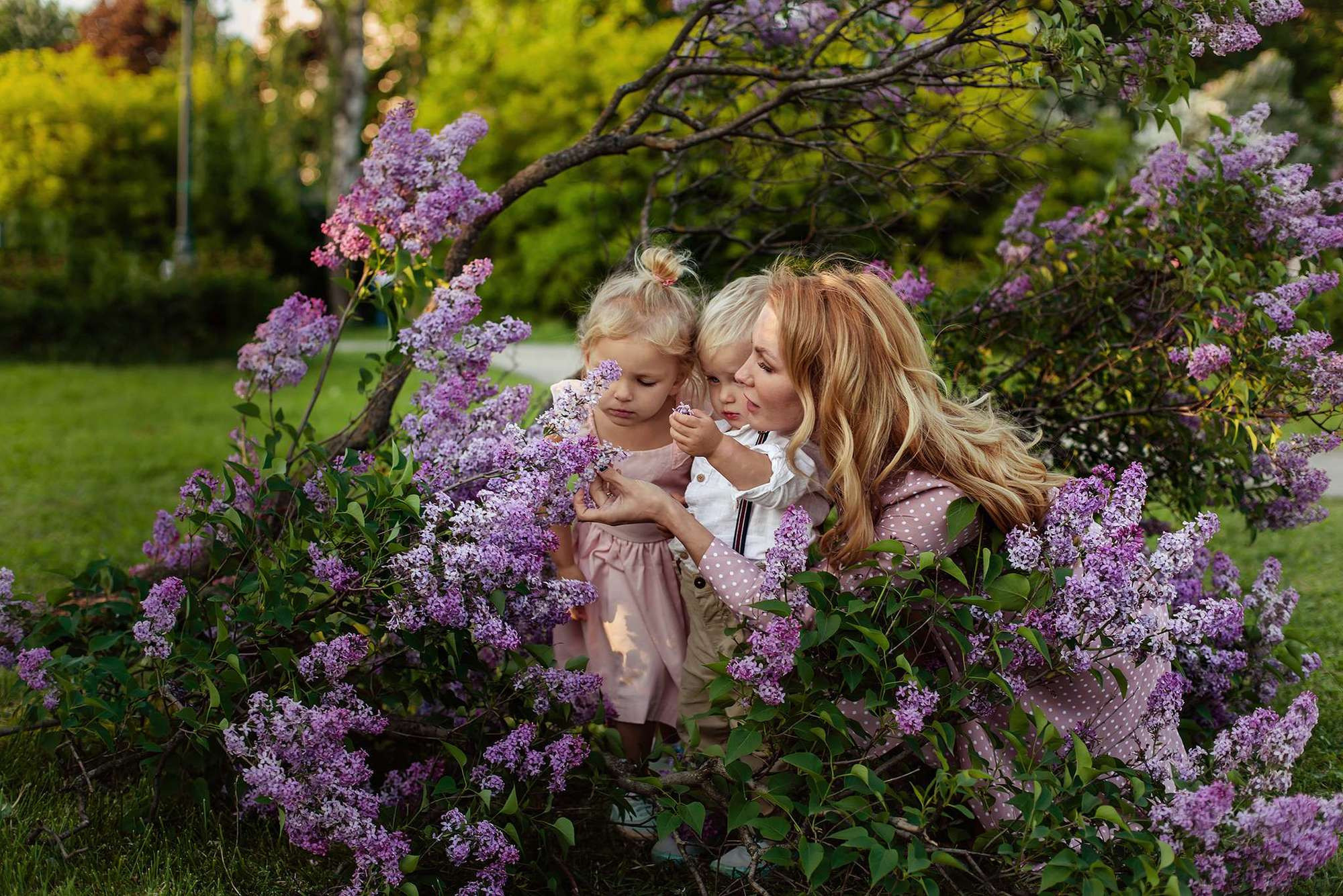 В сиреневом саду. Семейный фотограф в Москве Вера Гук