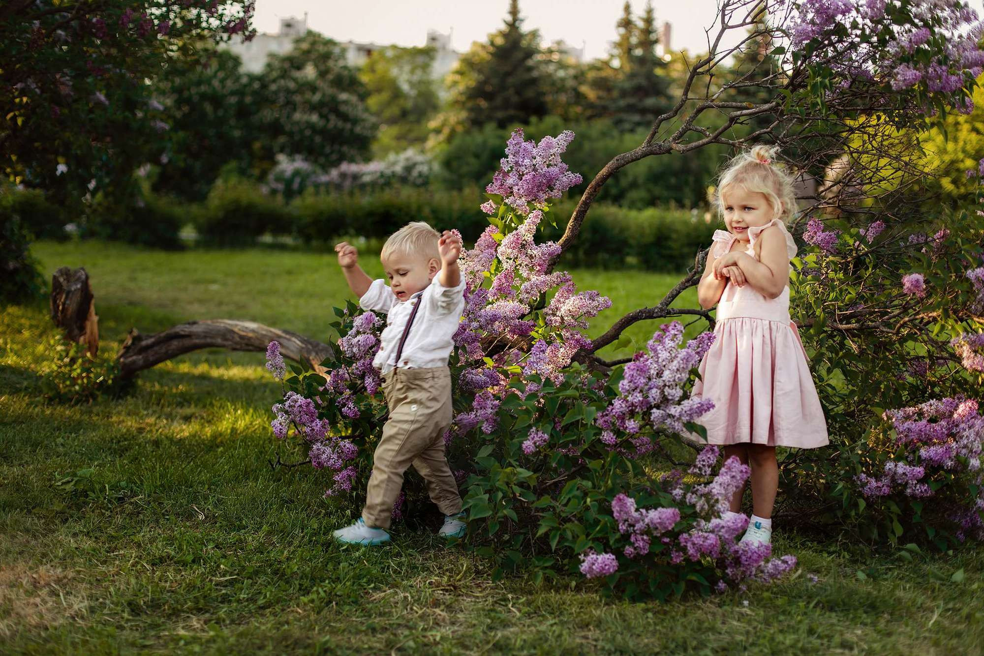 В сиреневом саду. Семейный фотограф в Москве Вера Гук