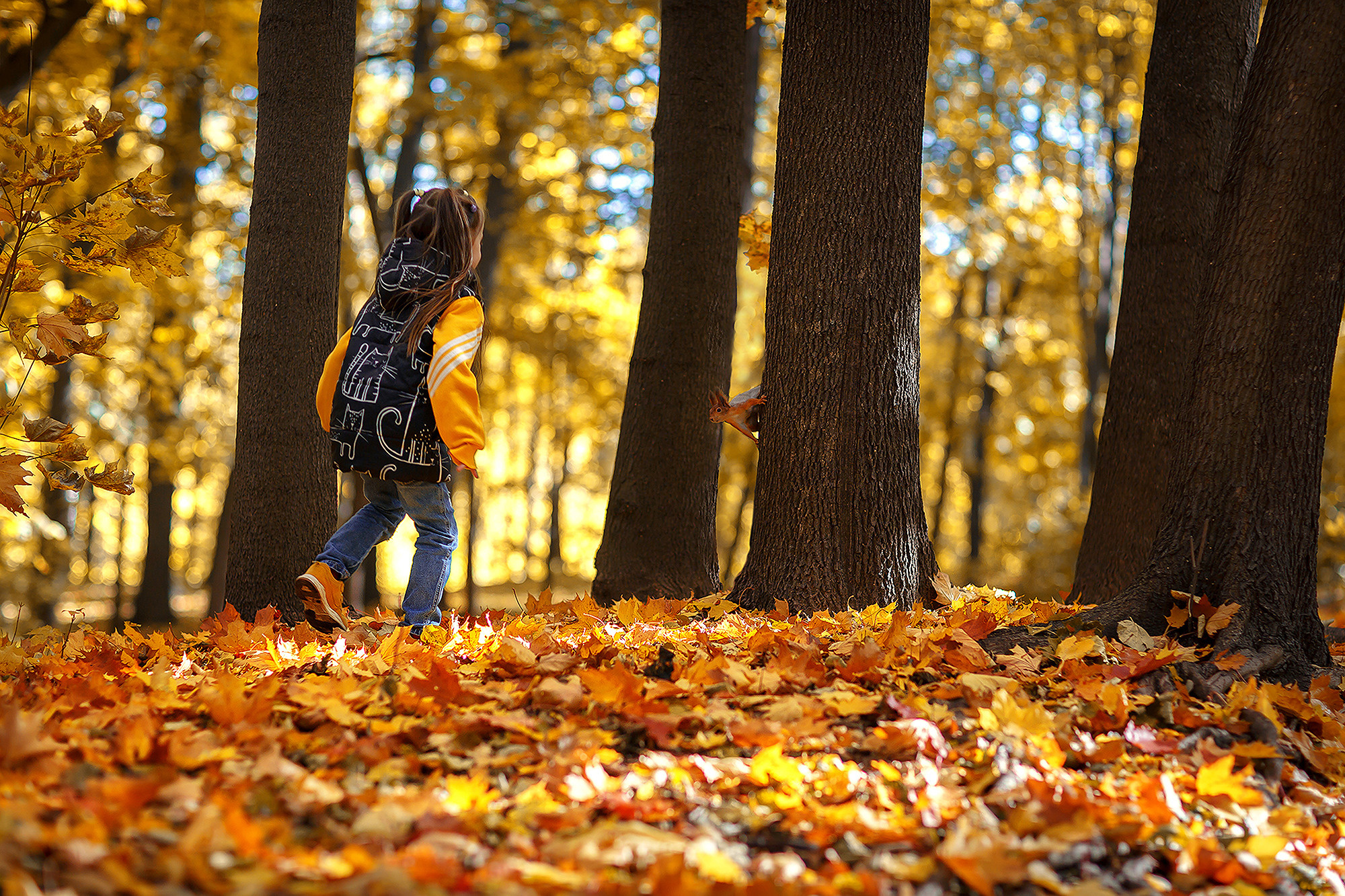 Осенняя прогулка по Нескучному саду. Семейный фотограф в Москве Вера Гук