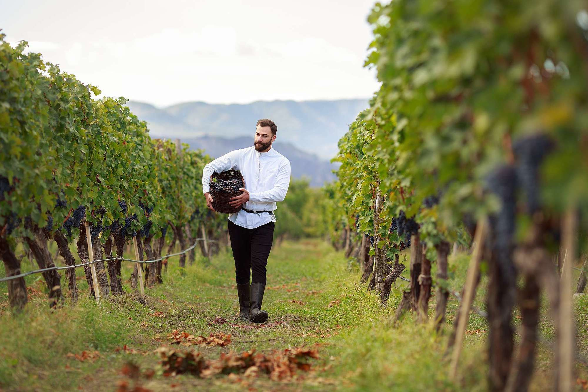 Гиорги и дети. Семейный фотограф в Москве Вера Гук