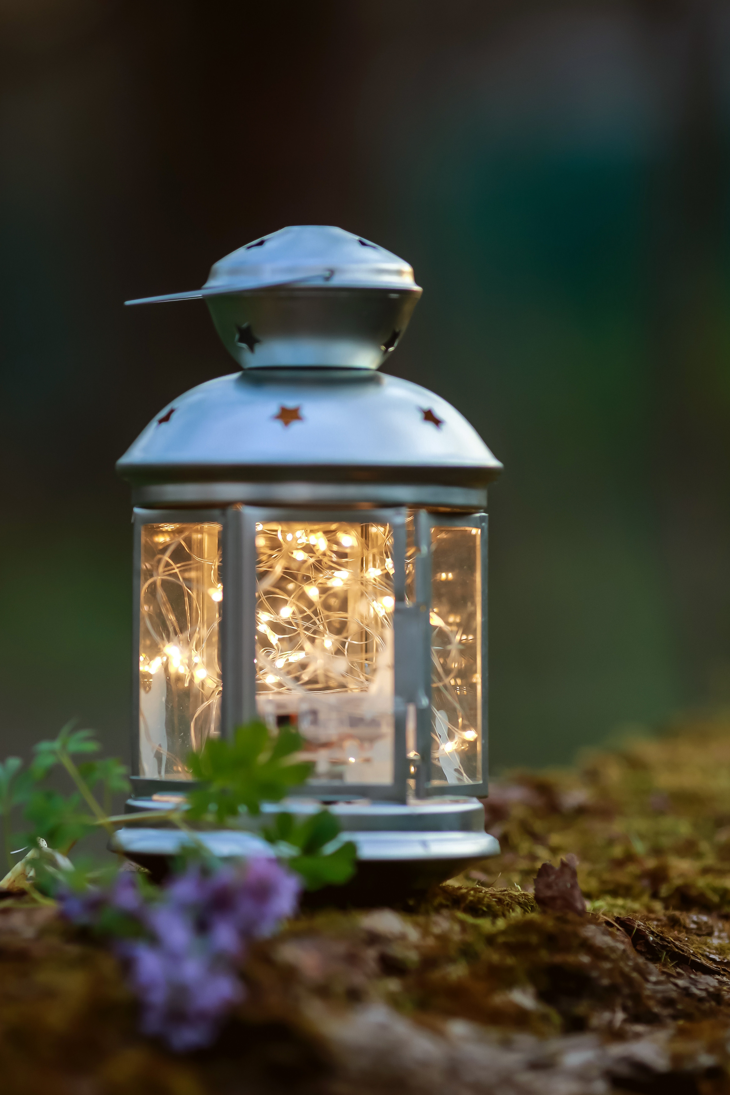 Милана весна. Семейный фотограф в Москве Вера Гук