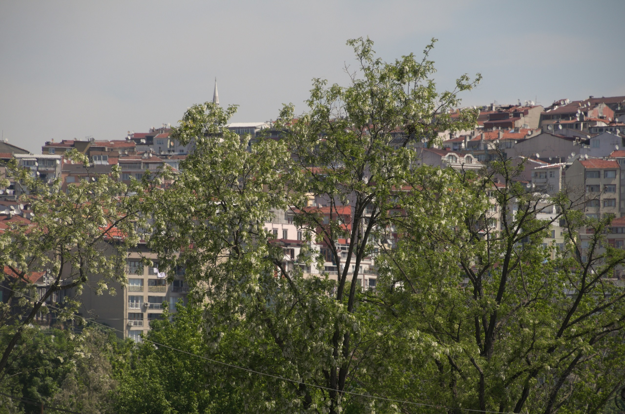 Стамбул | 01-05.05.2019. Галерея Фантим