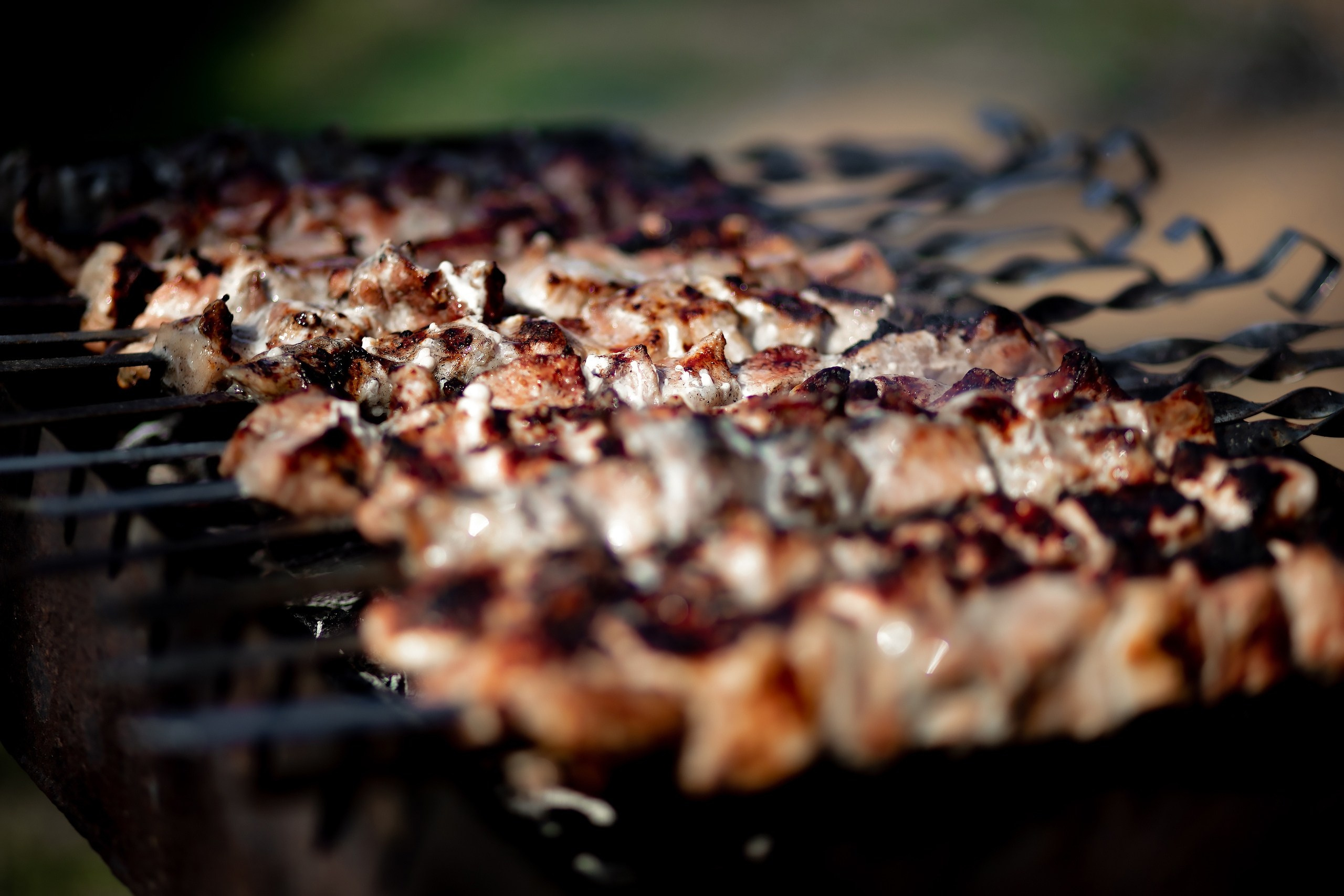 Шашлычки | 01.05.2019. Галерея Фантим