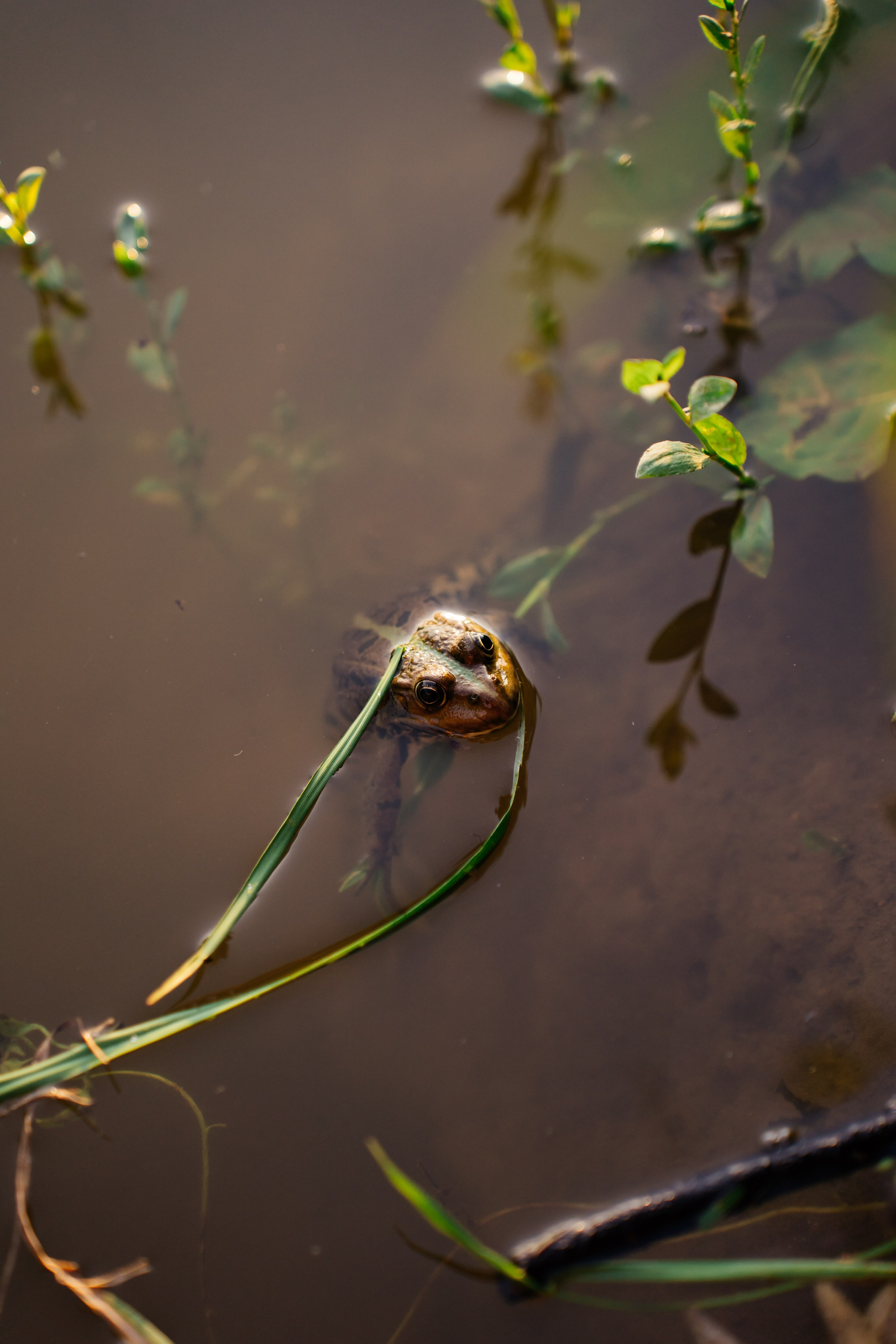 Weekend with friends. Видеограф и Фотограф в Челябинске Ксения и Владимир Рюмины