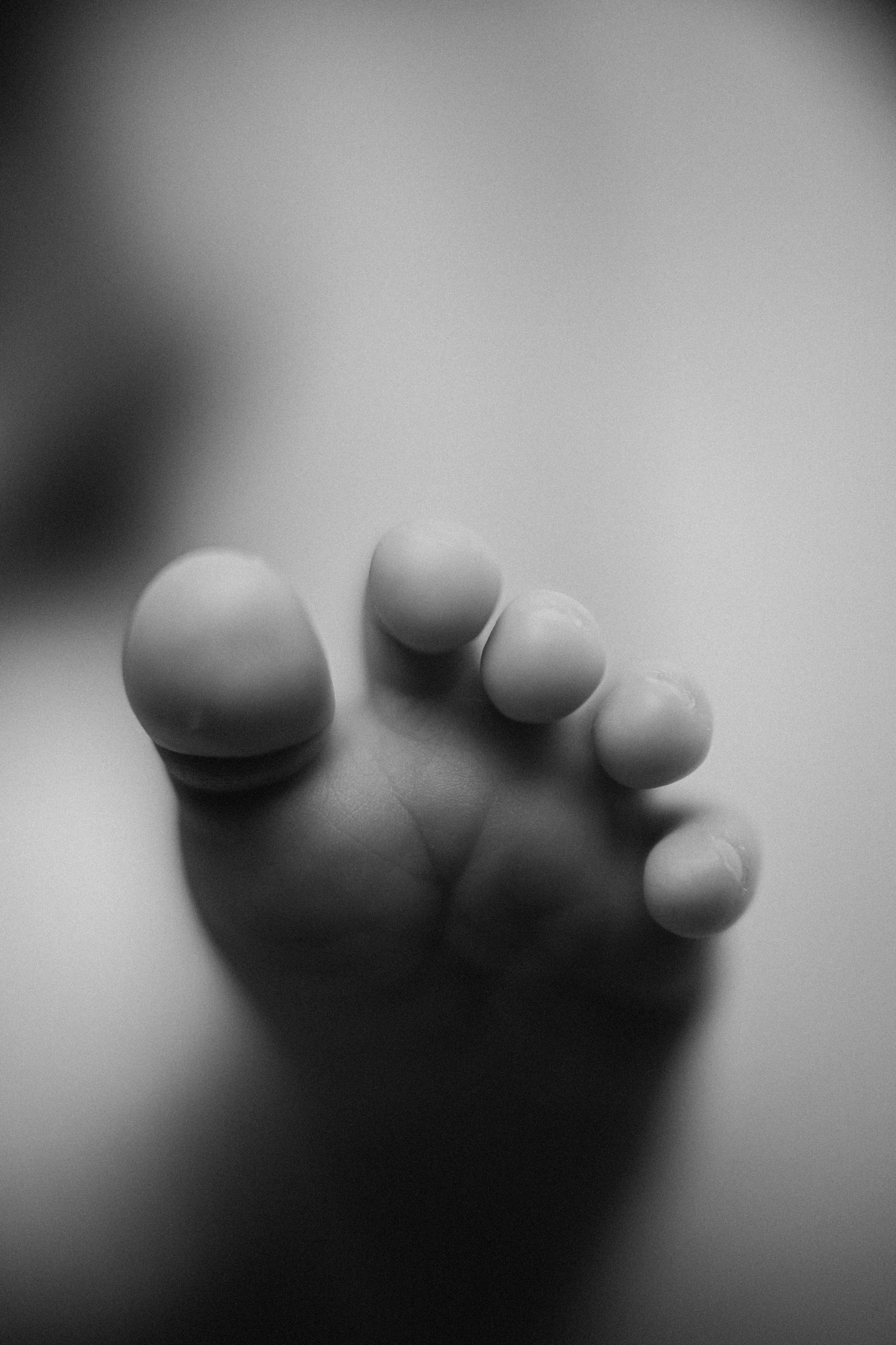 Фотосессия ньюборн, newborn Москва, фотосессия новорожденных. Ньюборн и детский фотограф в Москве Шигина Марина