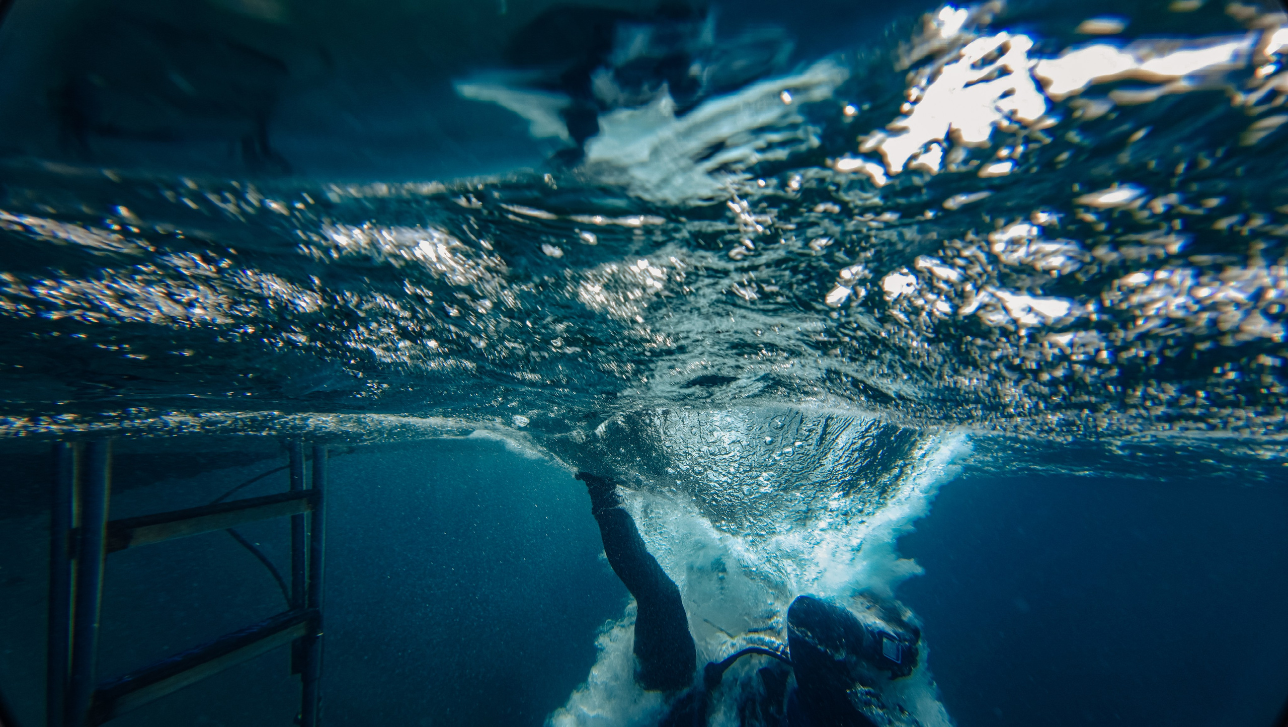 Галерея. Дайвинг во Вьетнаме
