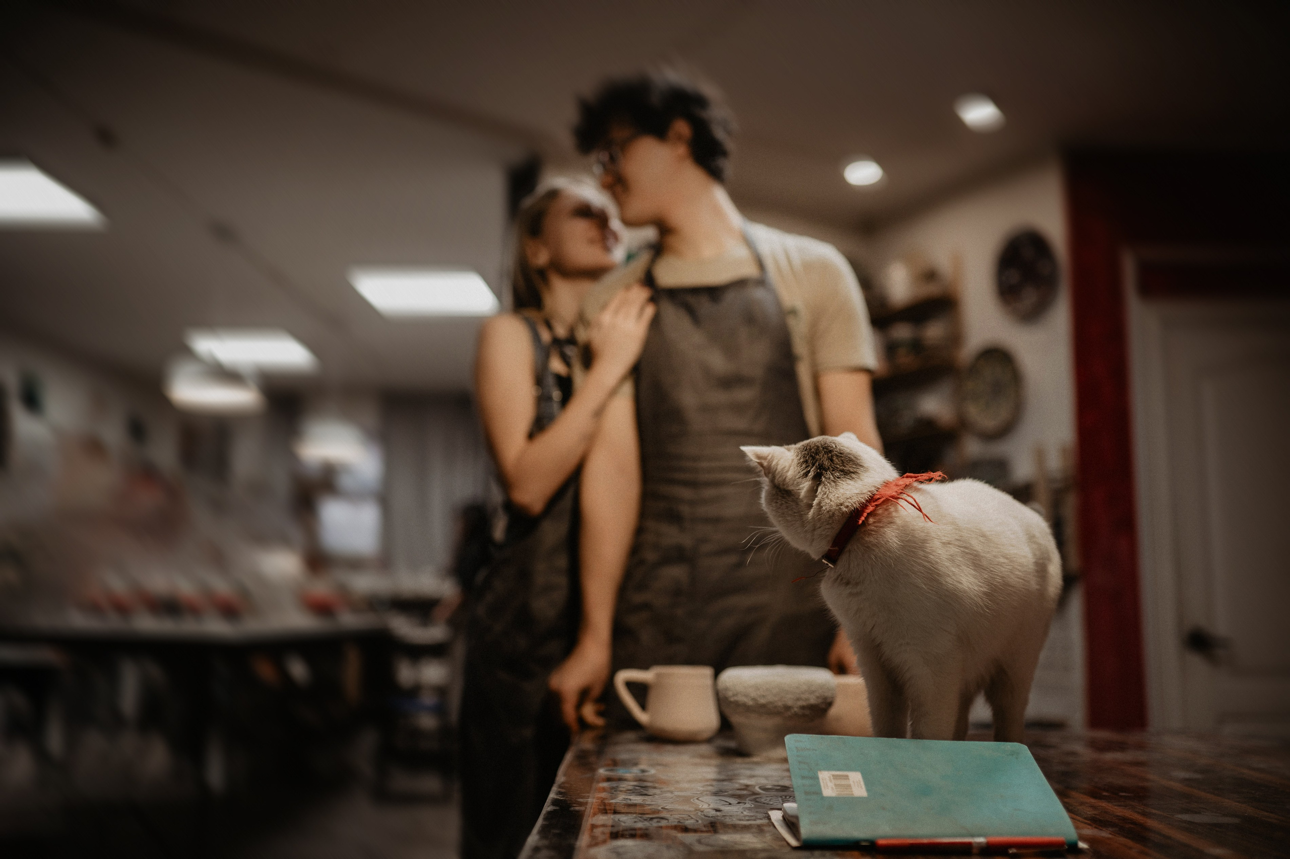 Фотограф Алексей Кутырёв