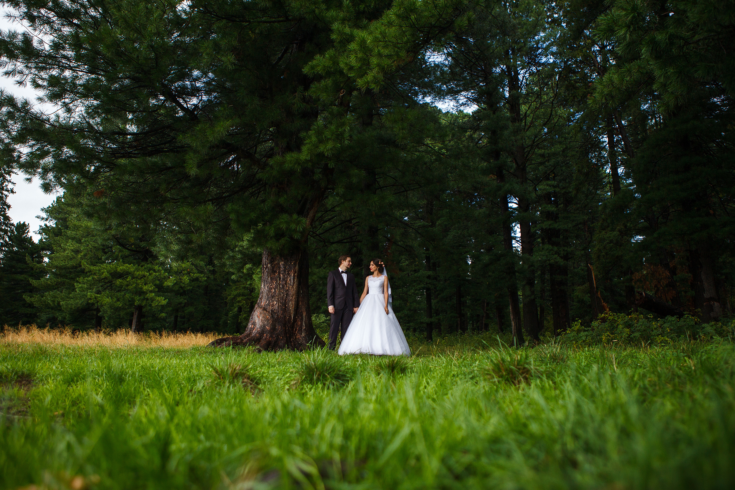 Станислав и Анастасия. Евгения Орлова