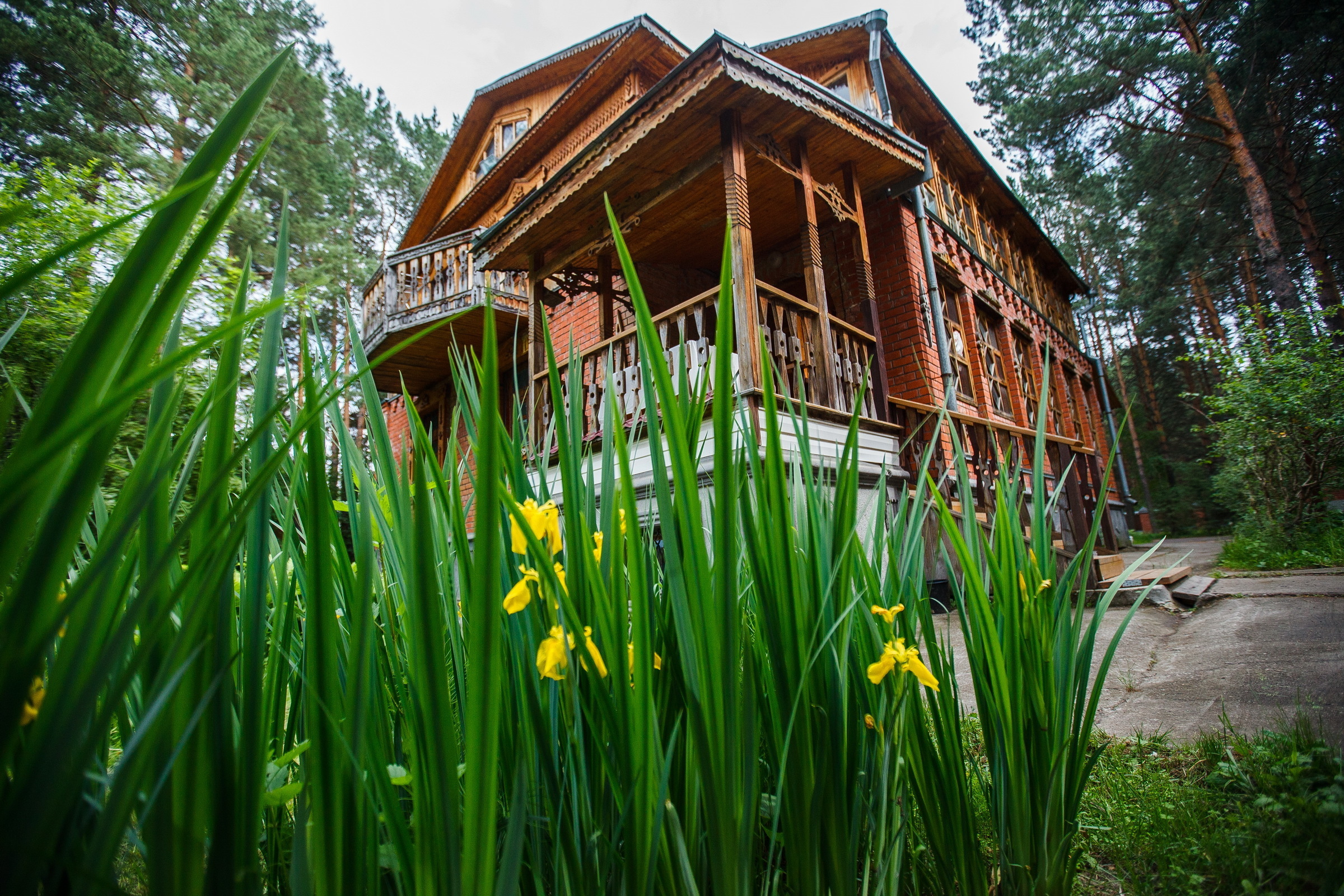 Александр и Аннет. Большая серия. Евгения Орлова