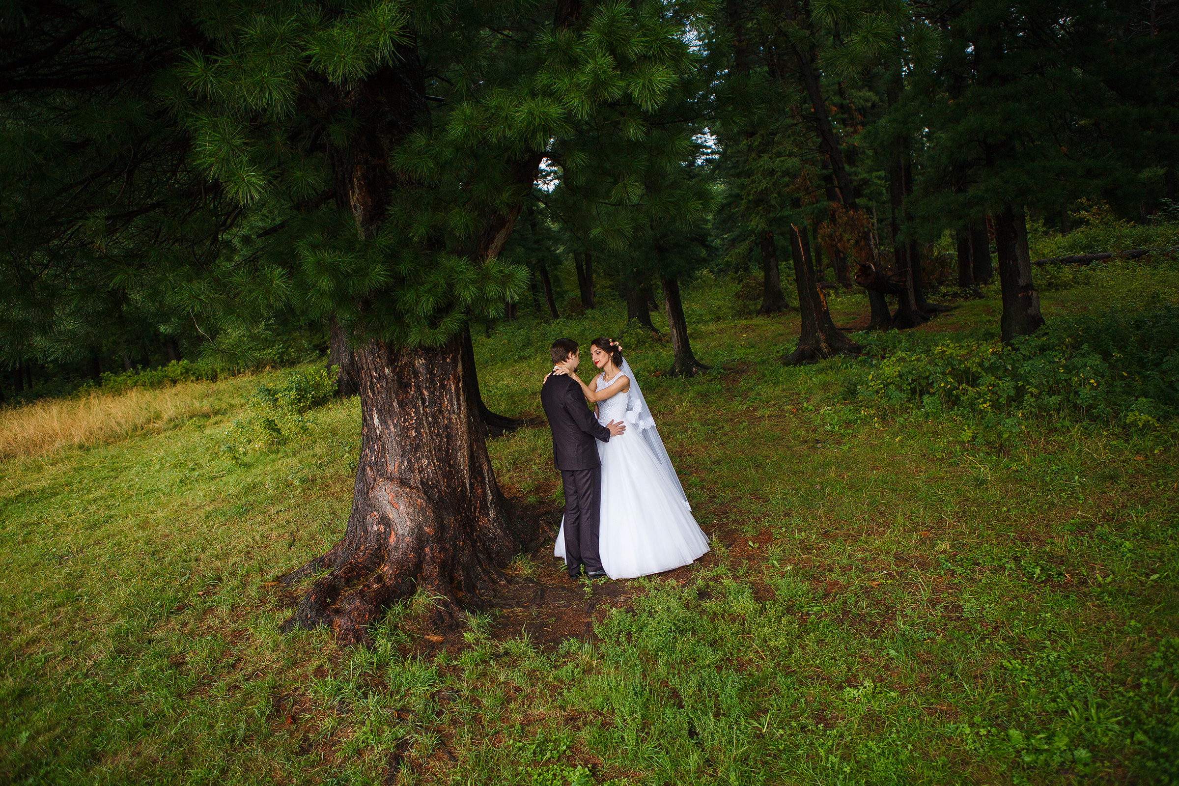 Станислав и Анастасия. Евгения Орлова