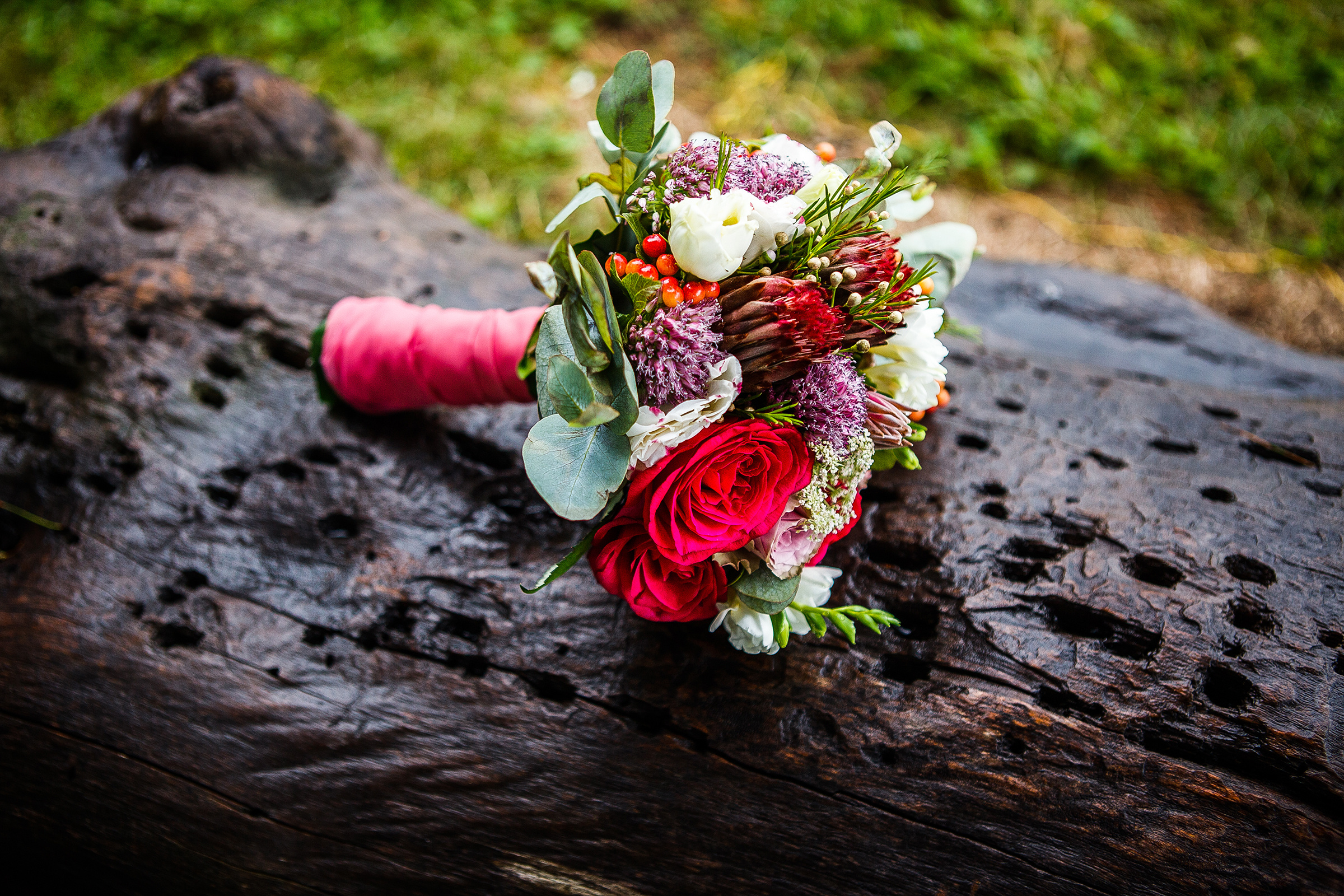 Станислав и Анастасия. Евгения Орлова