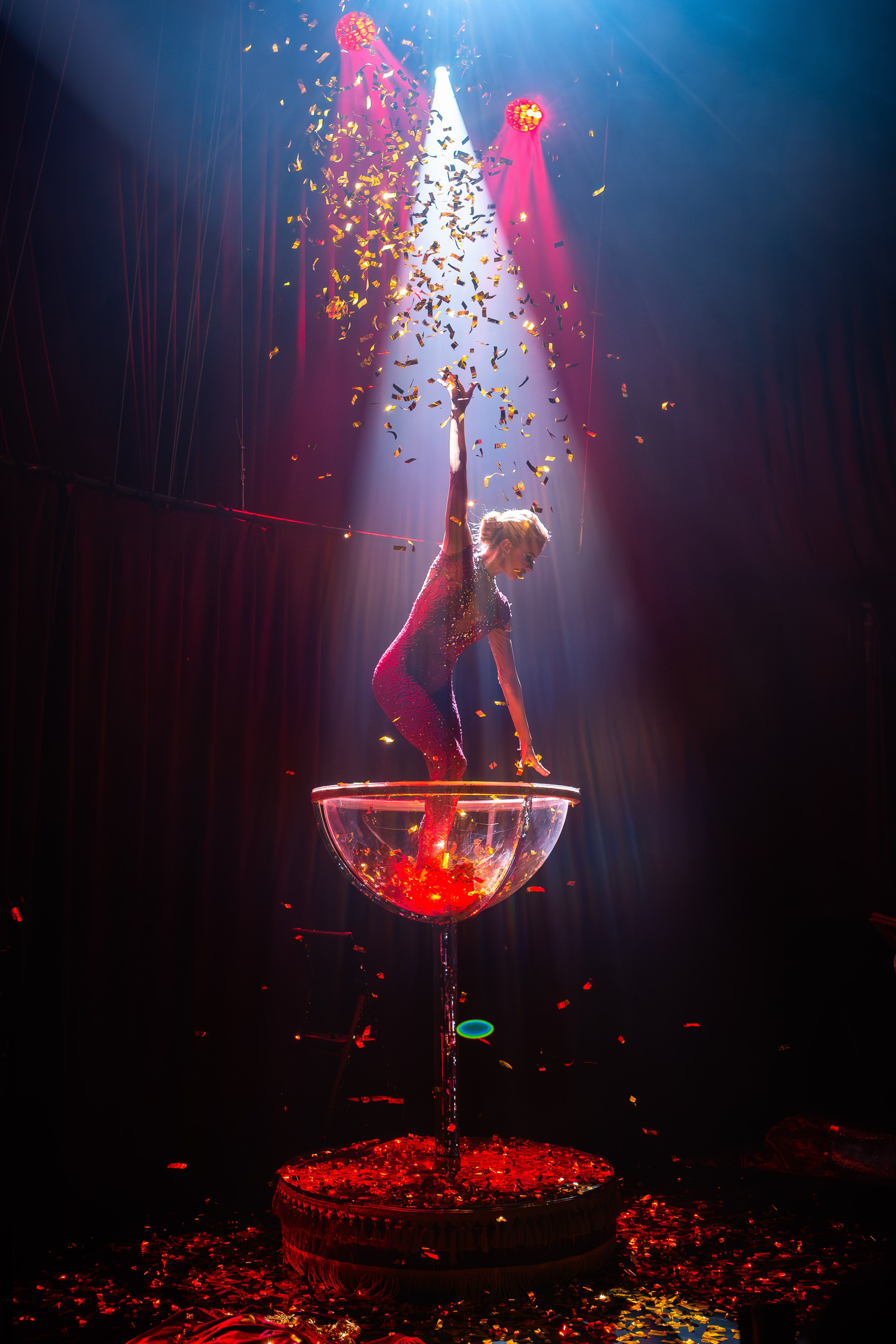 Цирковое шоу. Видеограф Добромыслов